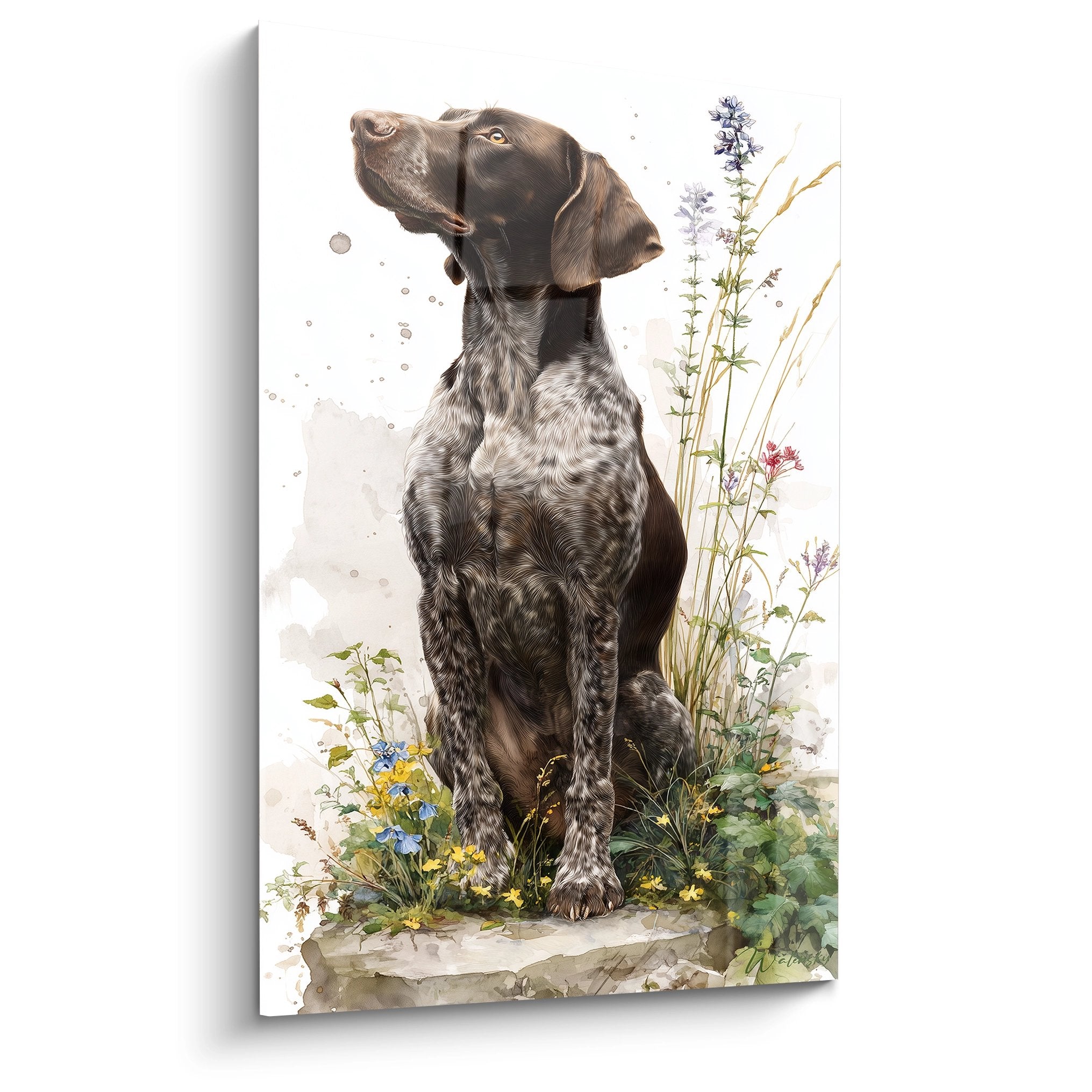 portrait tableau braque allemand assis parmi fleurs sauvages bleues jaunes fond blanc style naturaliste