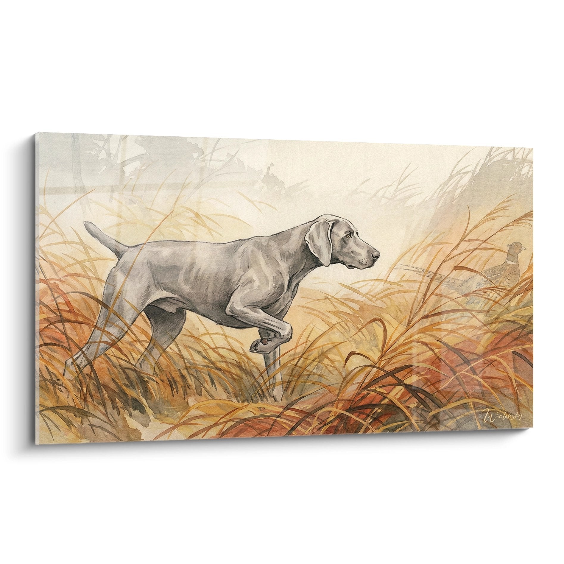 Braque de Weimar Pointer dog in golden autumn grass, hunting animal art painting