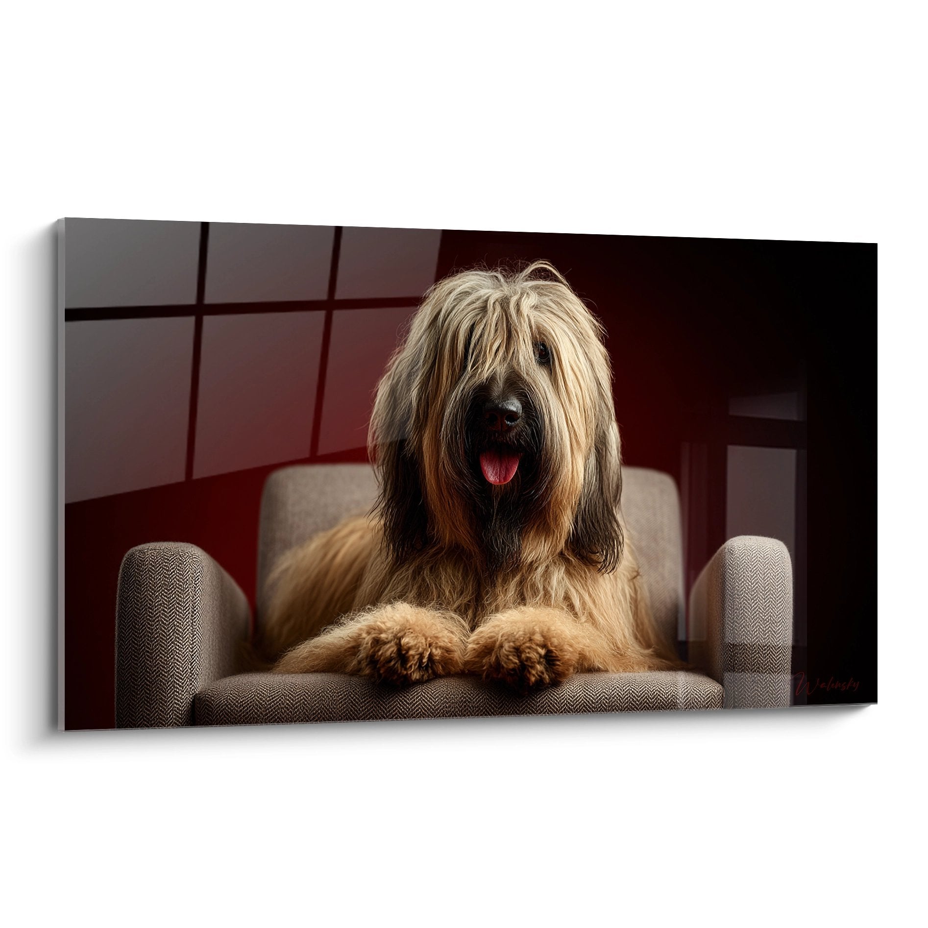 Tableau portrait d'un Briard au pelage doré installé confortablement dans un fauteuil beige, langue rose sortie