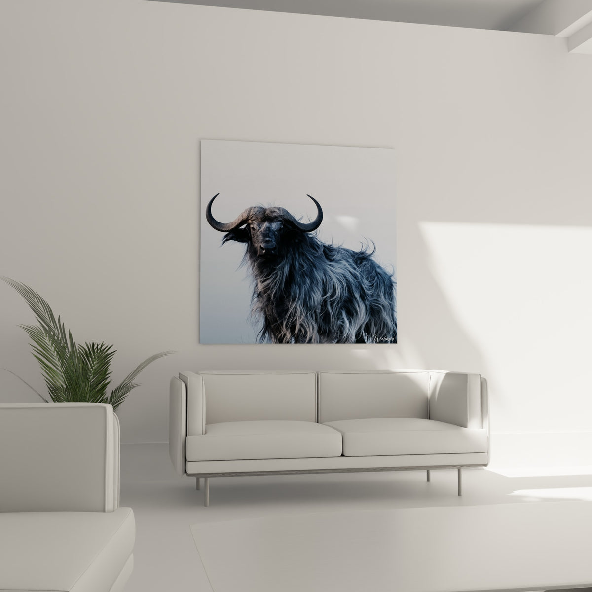 Regard intense d'un buffle noir et argenté aux longues cornes, au-dessus d'un canapé dans un salon lumineux