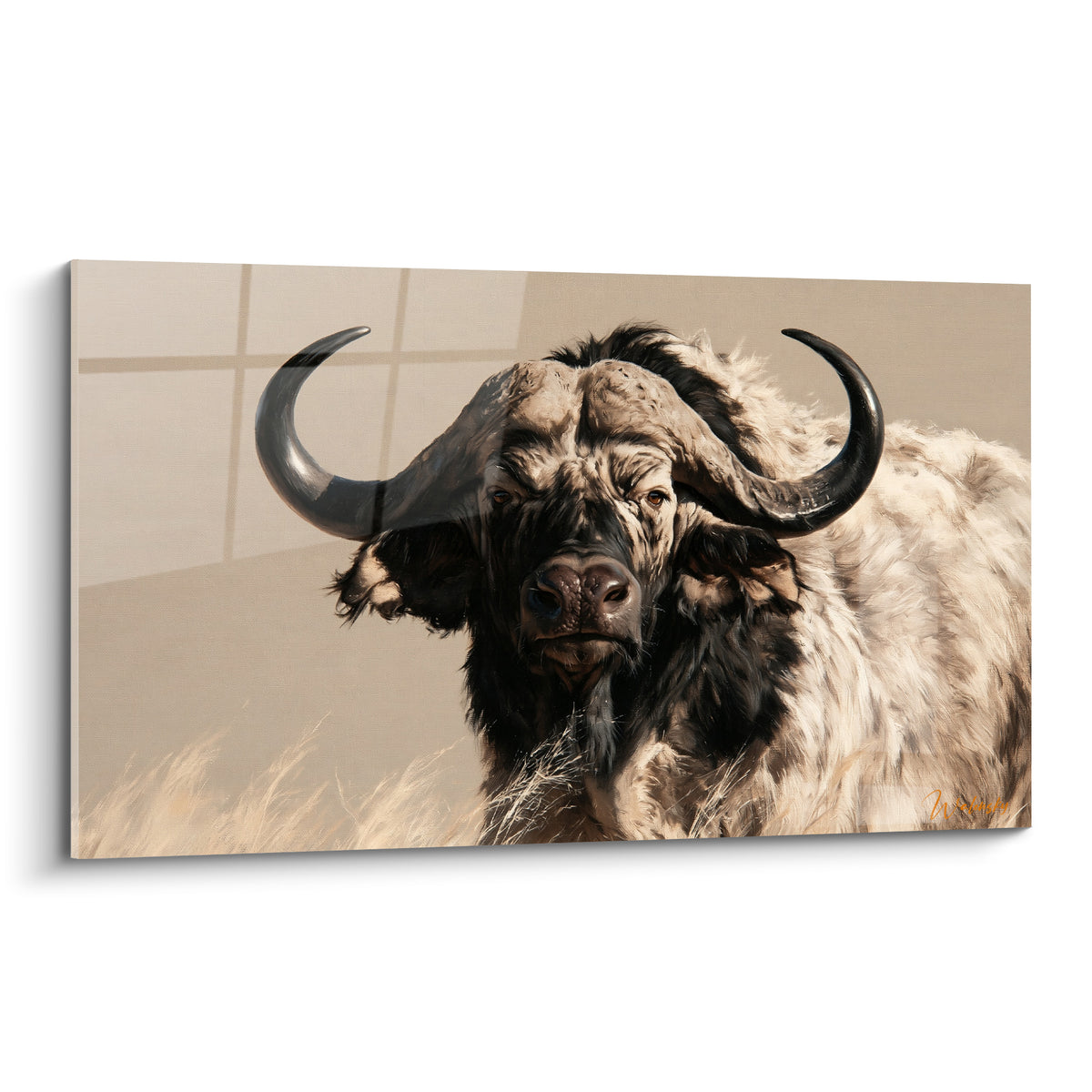 Buffle ivoire aux cornes anthracite, regard frontal intense, pelage texturé sur fond sable