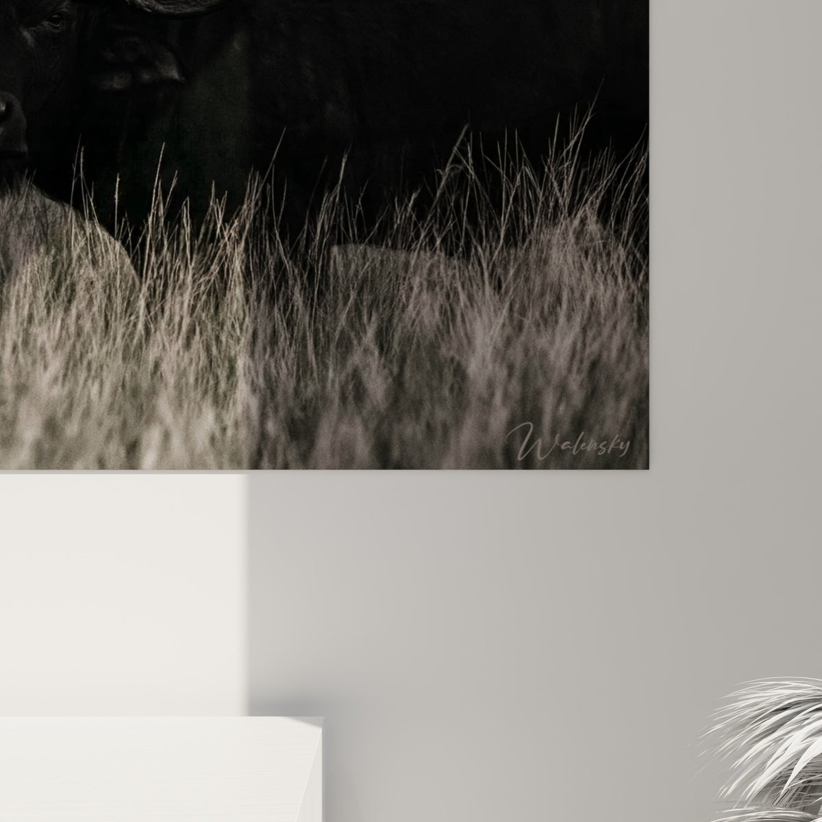 Détail de la texture du pelage noir et des herbes grises de ce tableau buffle imprimé