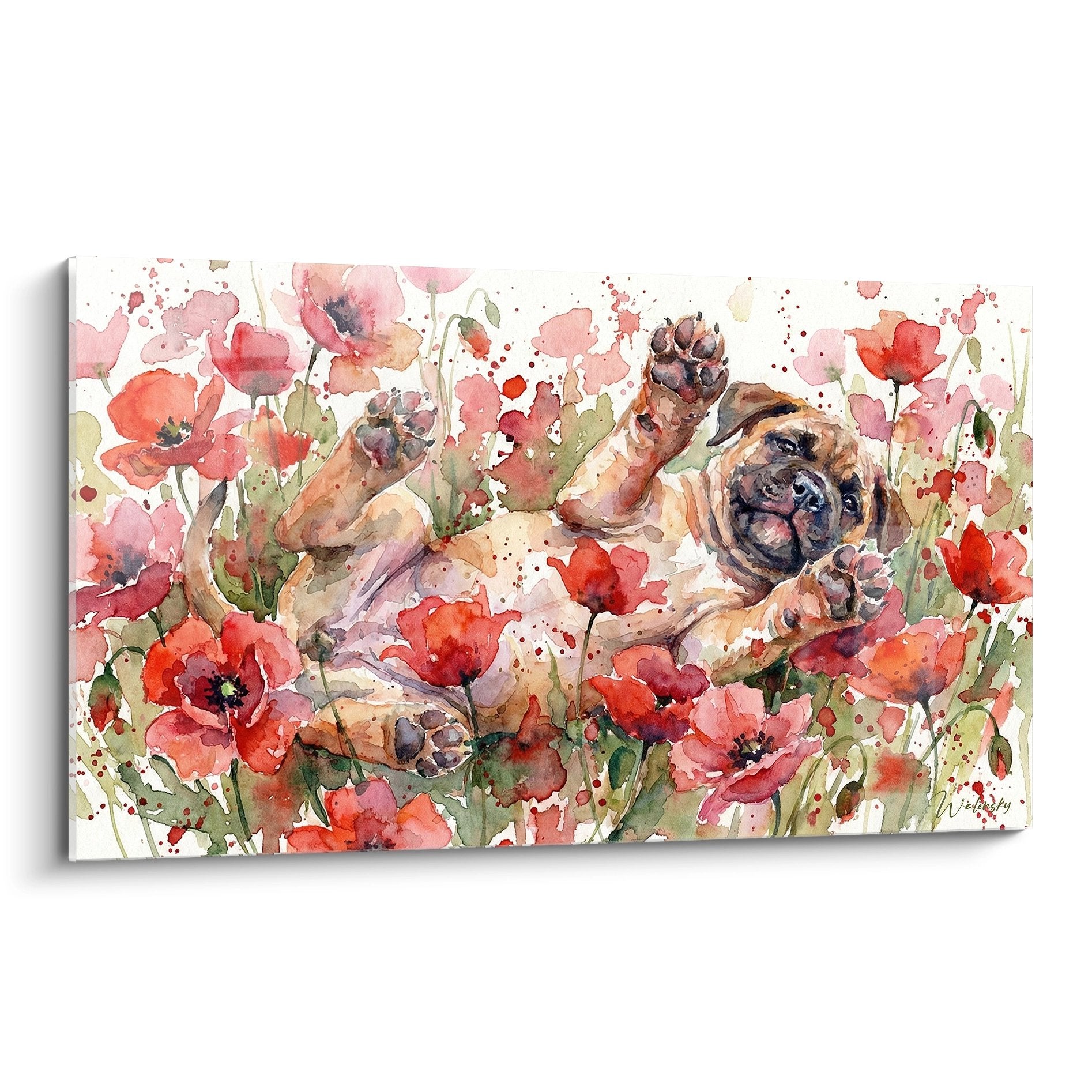 Tableau aquarelle bullmastiff allongé dans champ coquelicots roses rouges style artistique éclaboussures