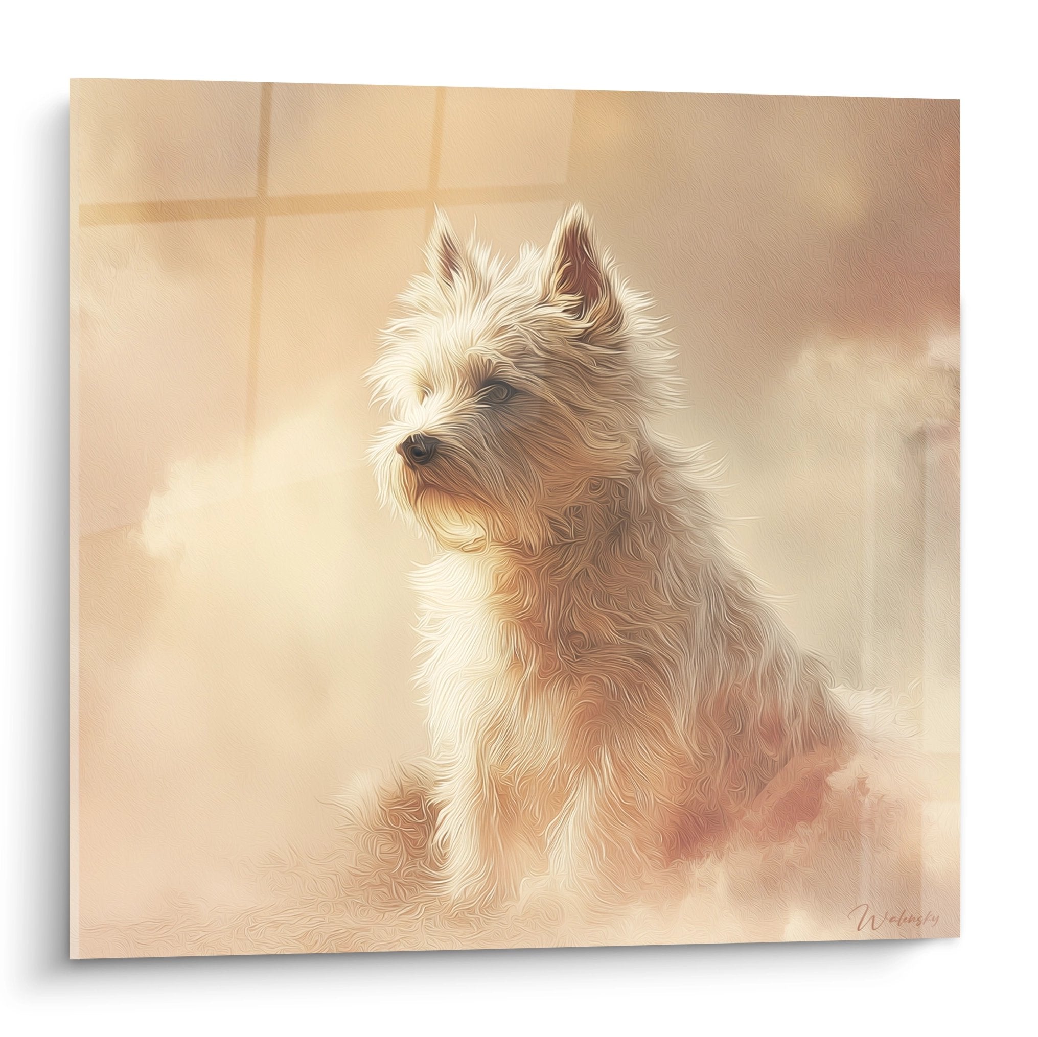 Portrait de Cairn Terrier aux tons dorés et beiges sur fond clair avec expression tendre et pelage soyeux
