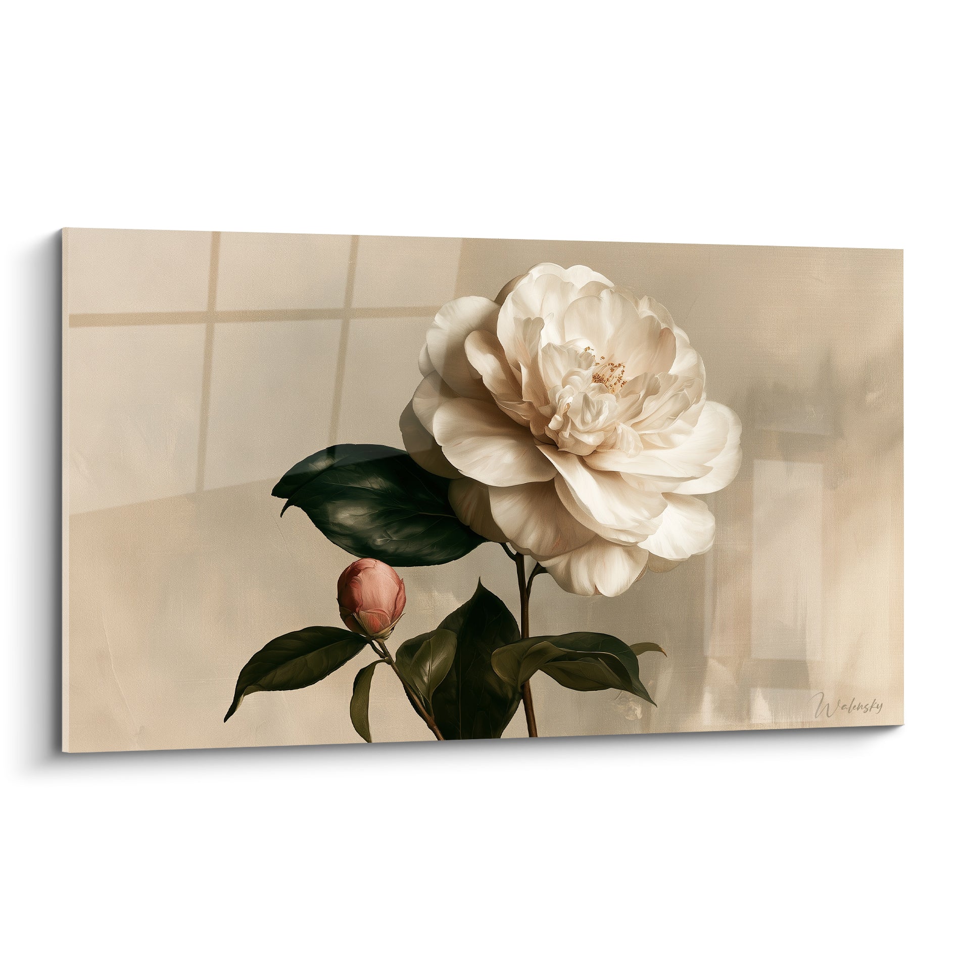 Camélia blanc crème aux larges pétales, feuillage vert sombre et bouton terracotta sur fond beige