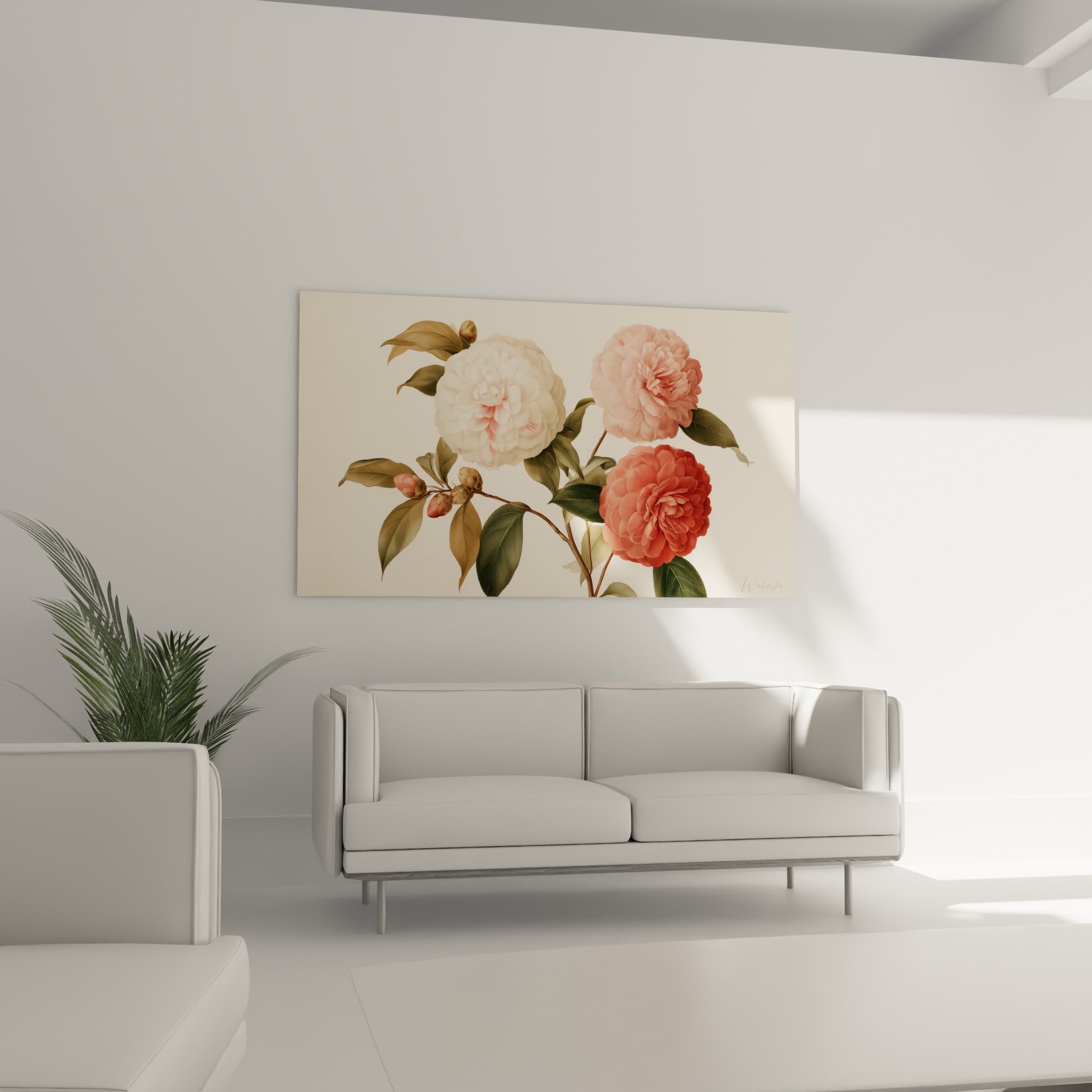 Bouquet de camélias blanc et corail aux pétales denses, suspendu au-dessus d'un canapé dans un salon lumineux