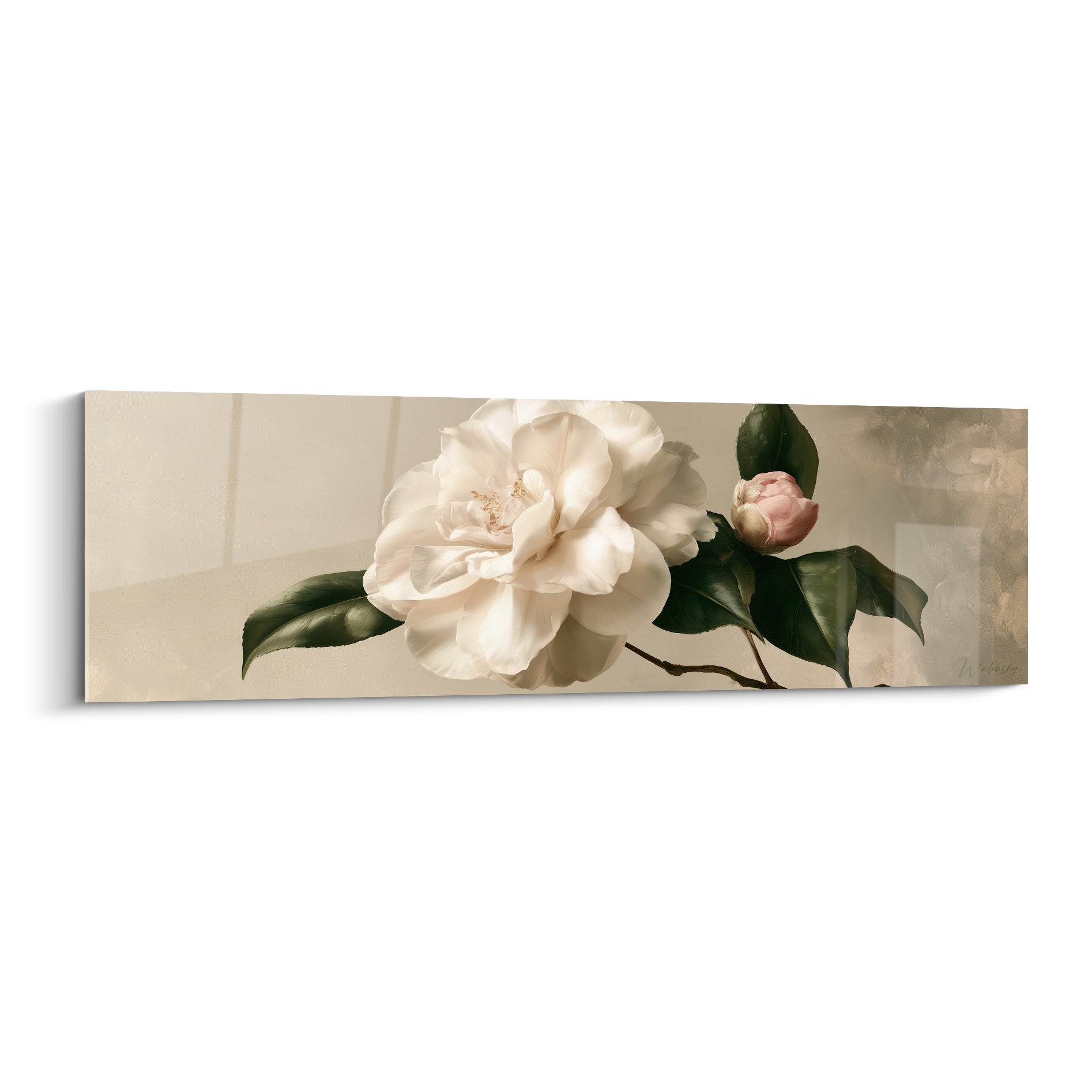 Camélia blanc aux pétales ouverts et bouton rose sur fond beige, feuilles vert sombre