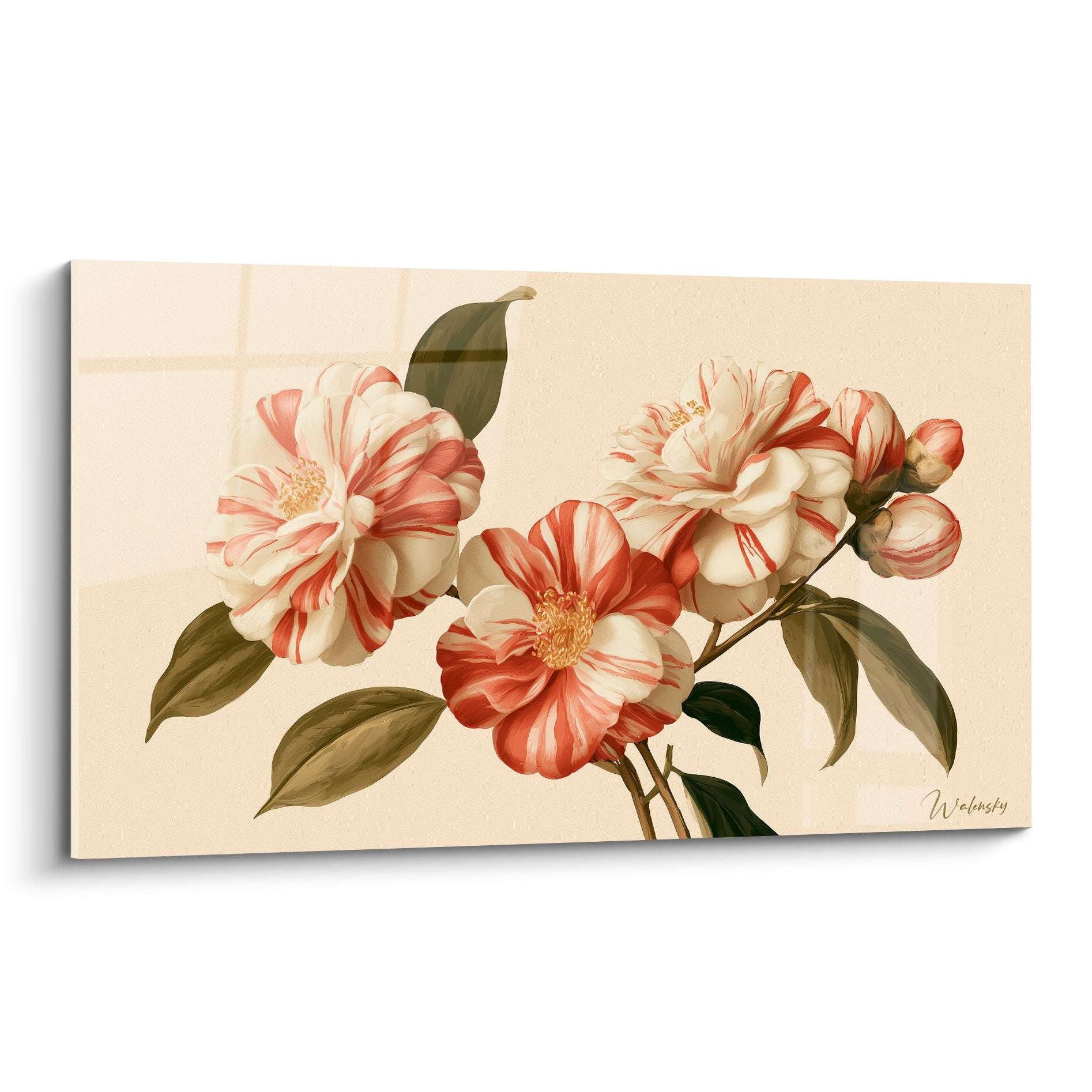 Camélias blancs et corail en pleine floraison sur fond ivoire, style botanique illustratif détaillé