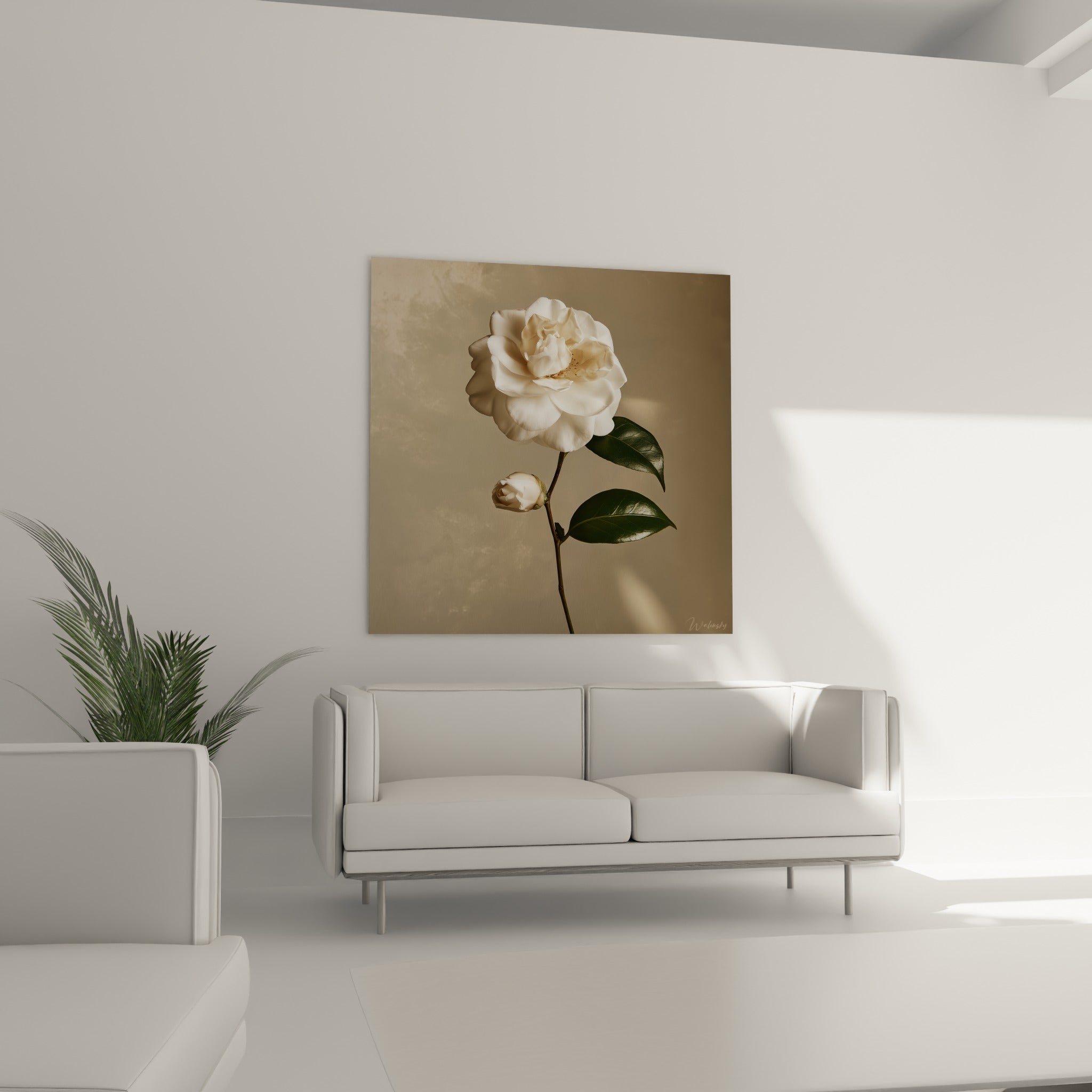 Pétales blancs et bouton crème du camélia, feuilles luisantes, au-dessus d'un canapé dans un salon lumineux