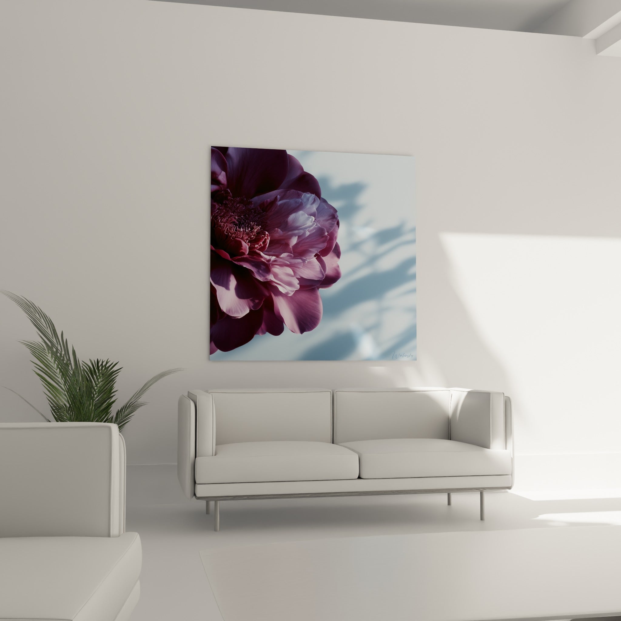 Fleur de camélia mauve et rosée disposée au-dessus d'un canapé dans un salon lumineux
