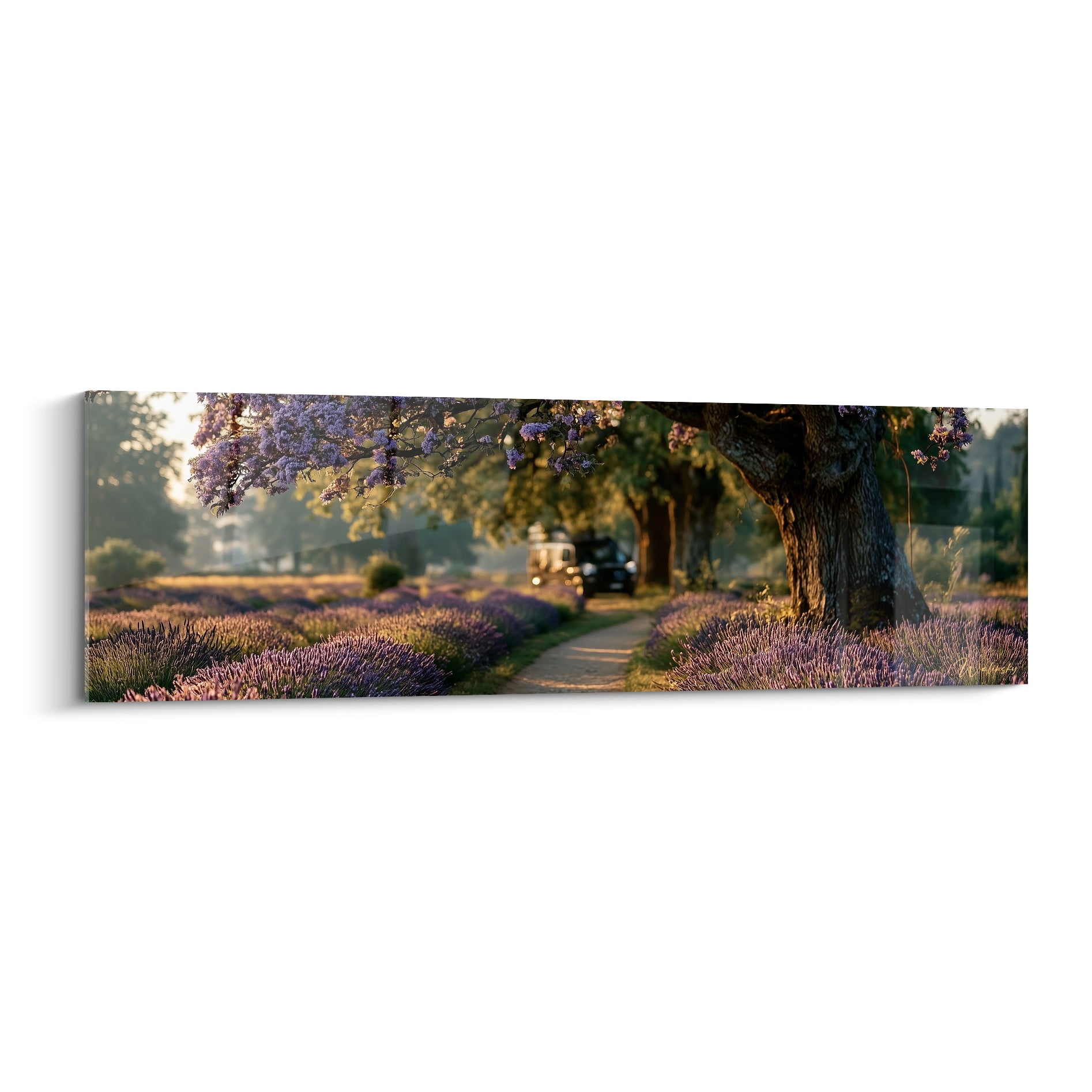 Van garé sous un arbre entouré de lavande violette et dorée dans un champ lumineux