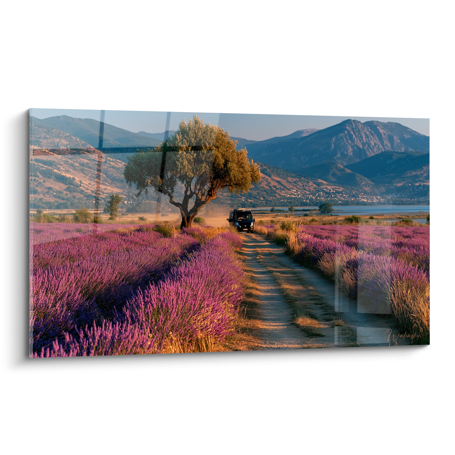 Van bleu marine roulant sur chemin ocre dans un champ de lavande violette sous ciel bleu pâle