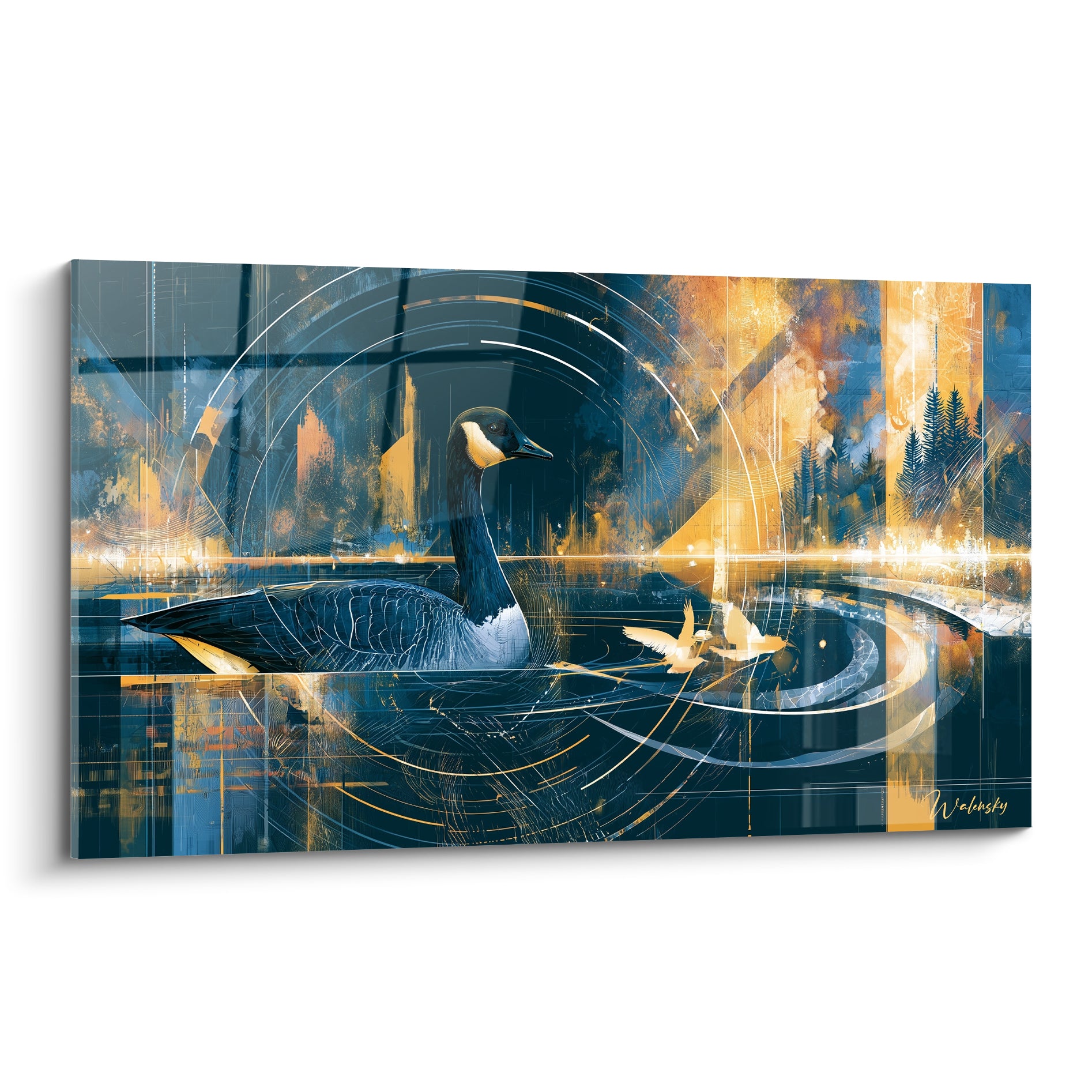 Bernache bleu marine et dorée nageant sur une eau sombre traversée de cercles lumineux blancs