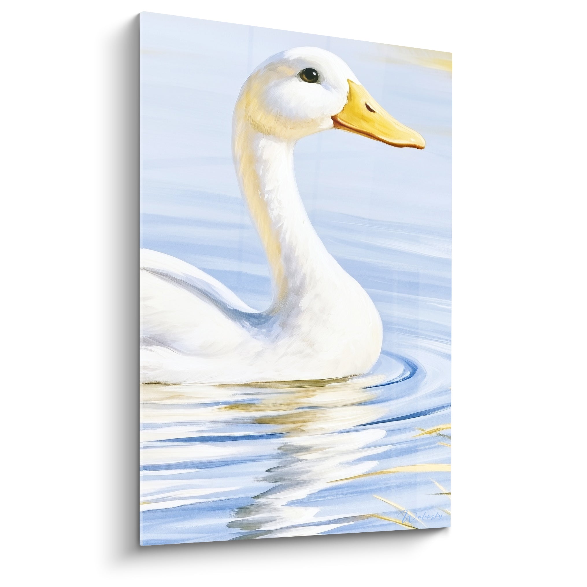 Canard blanc au bec jaune doré nageant sur une eau bleu pastel calme