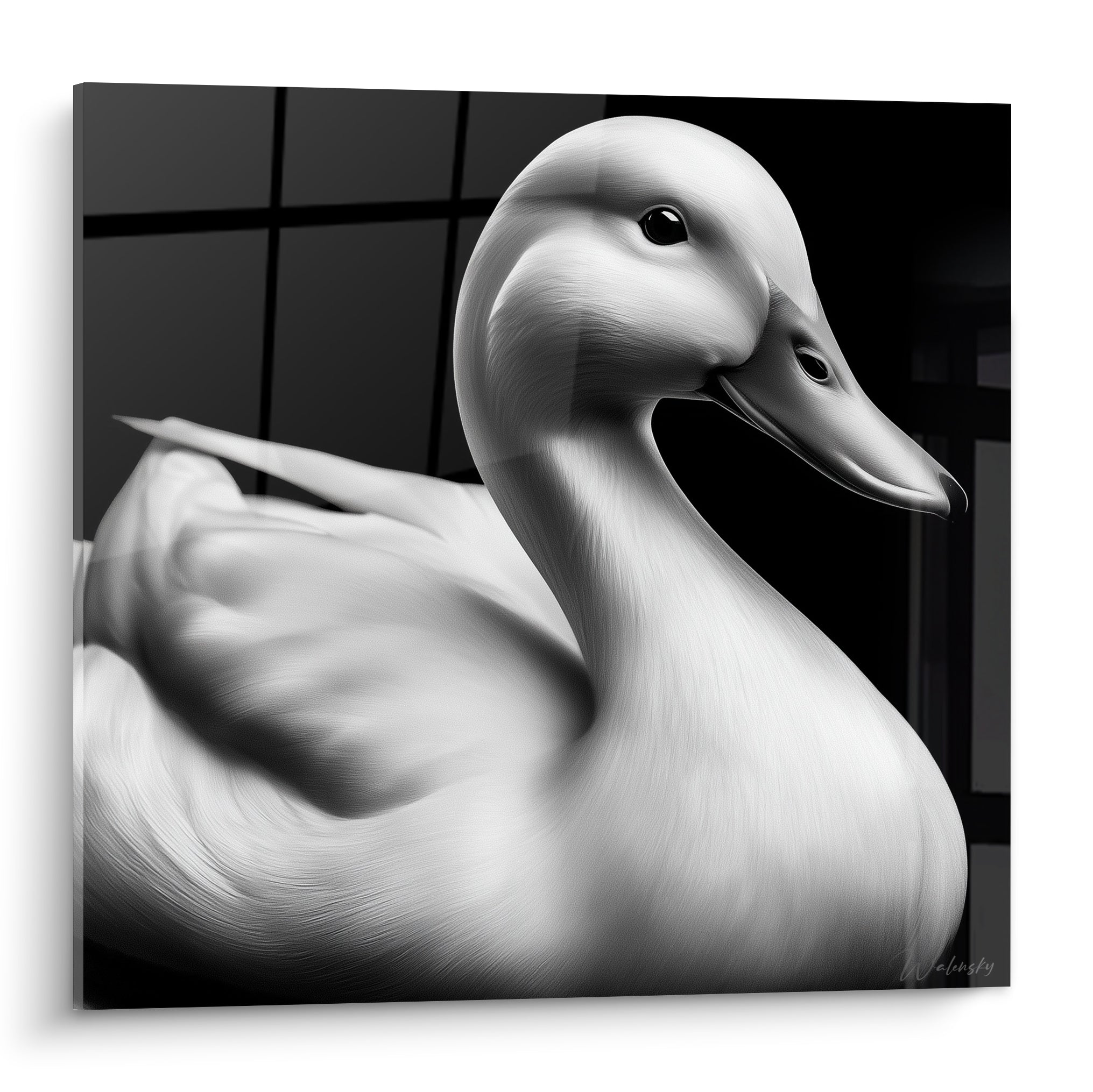 Canard blanc au plumage lumineux devant un fond anthracite quadrillé, style graphique raffiné