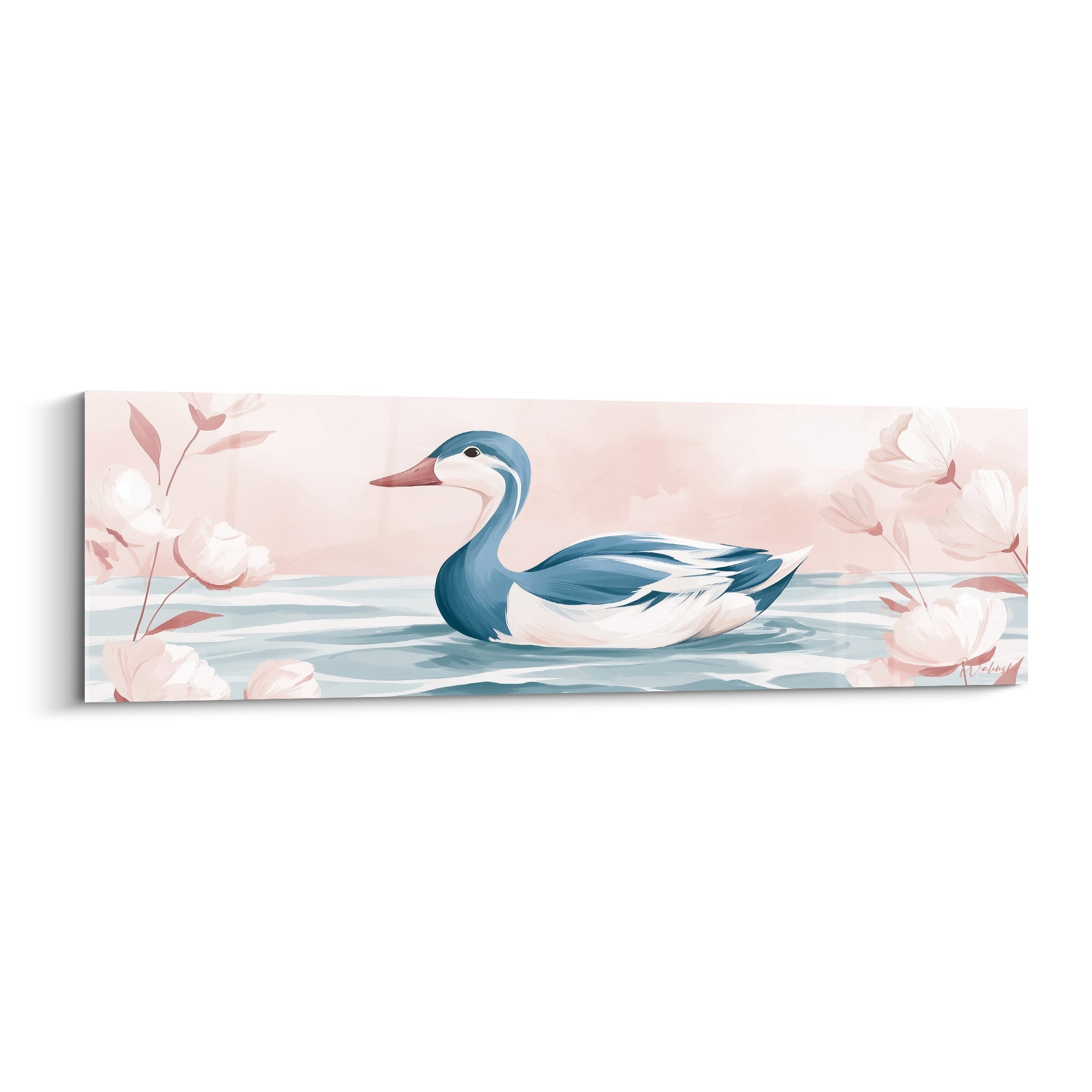 Canard bleu ardoise nageant sur une eau claire, entouré de pivoines roses et blanches délicates