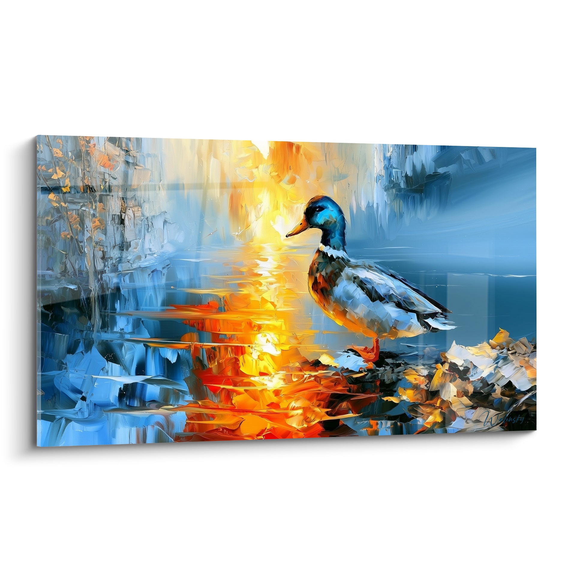 Canard colvert bleu profond et orangé, plumage texturé à la spatule face au soleil couchant
