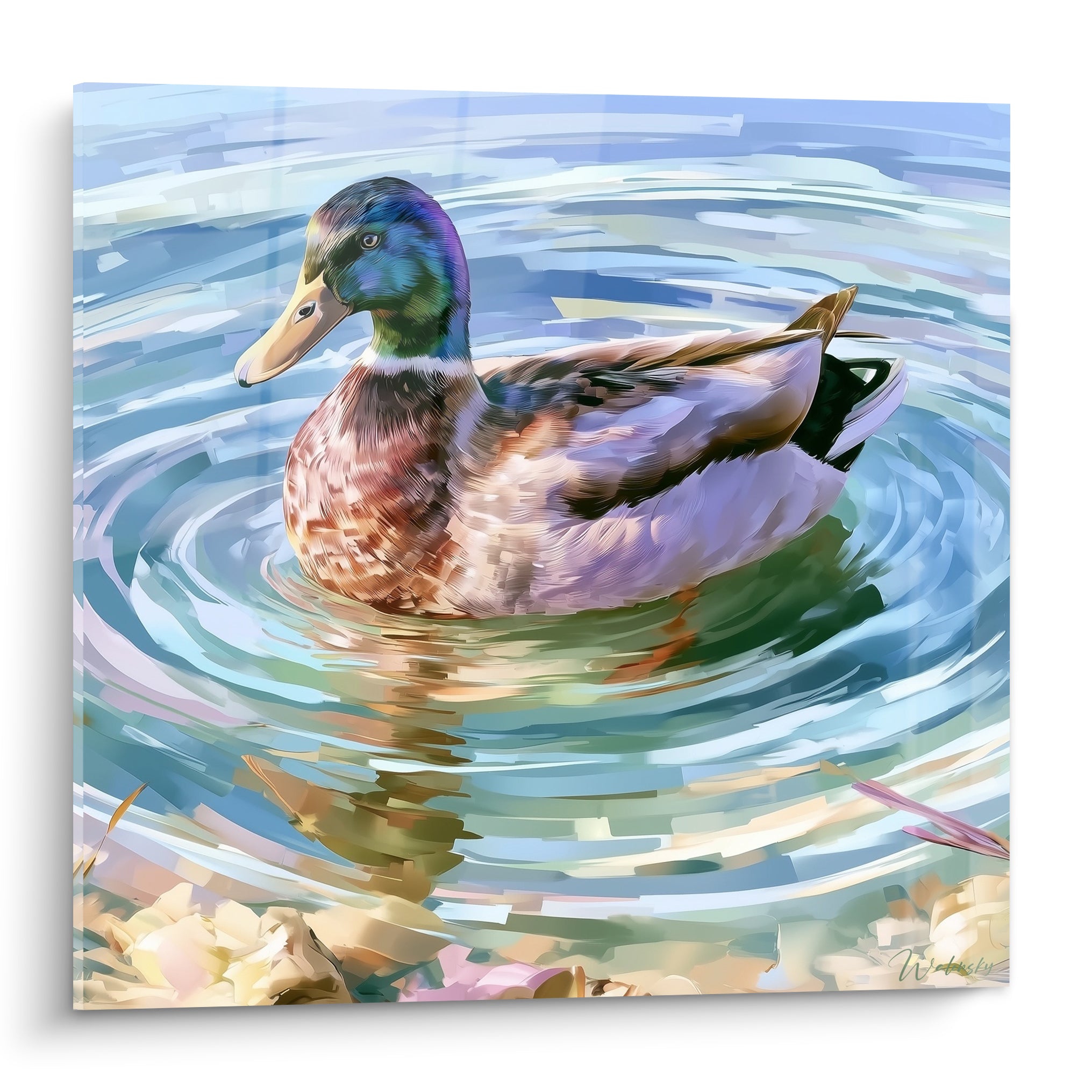 Canard colvert vert émeraude flottant sur une eau bleu pastel ondulée en cercles