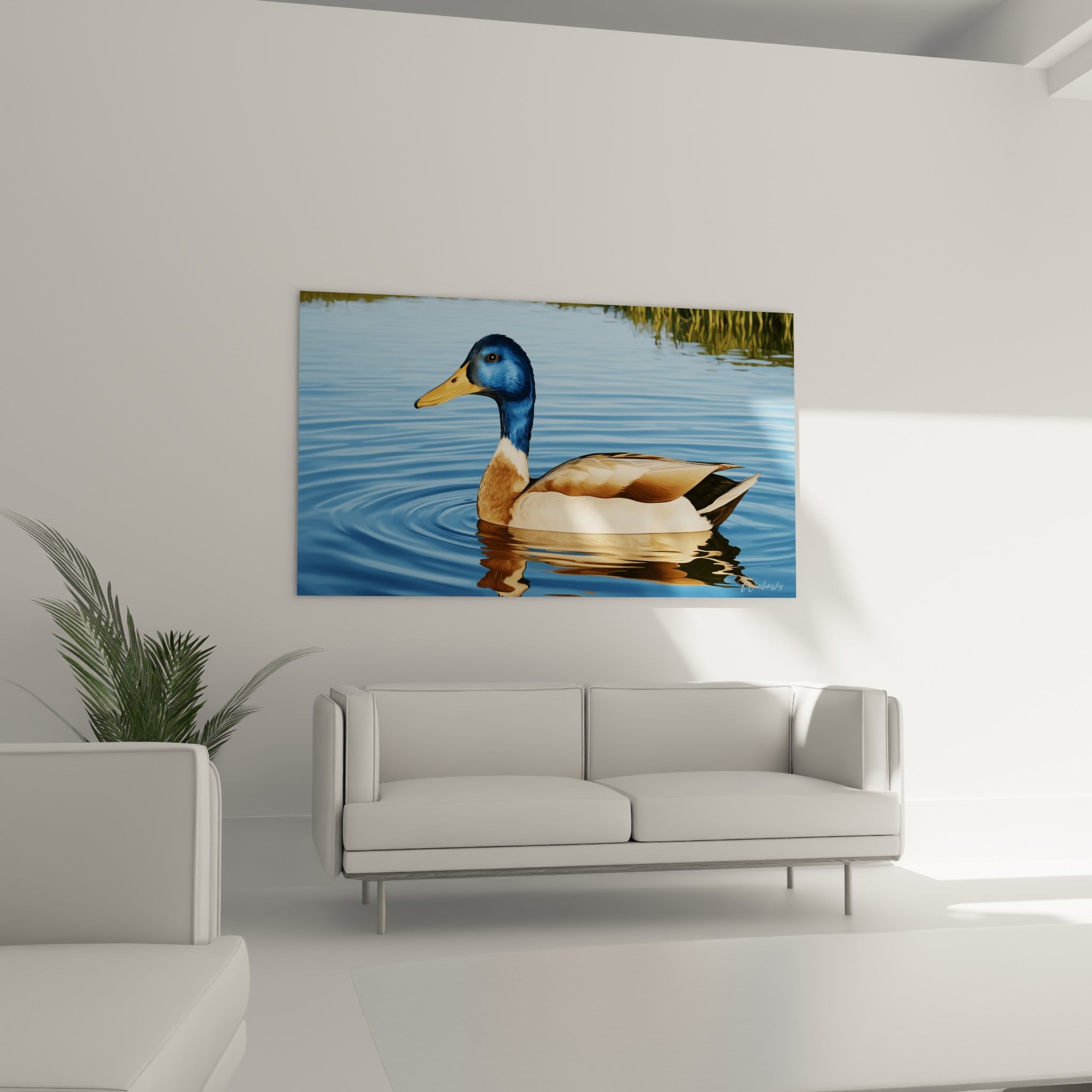Canard colvert beige et bleu glissant sur l'eau au-dessus d'un canapé dans un salon lumineux