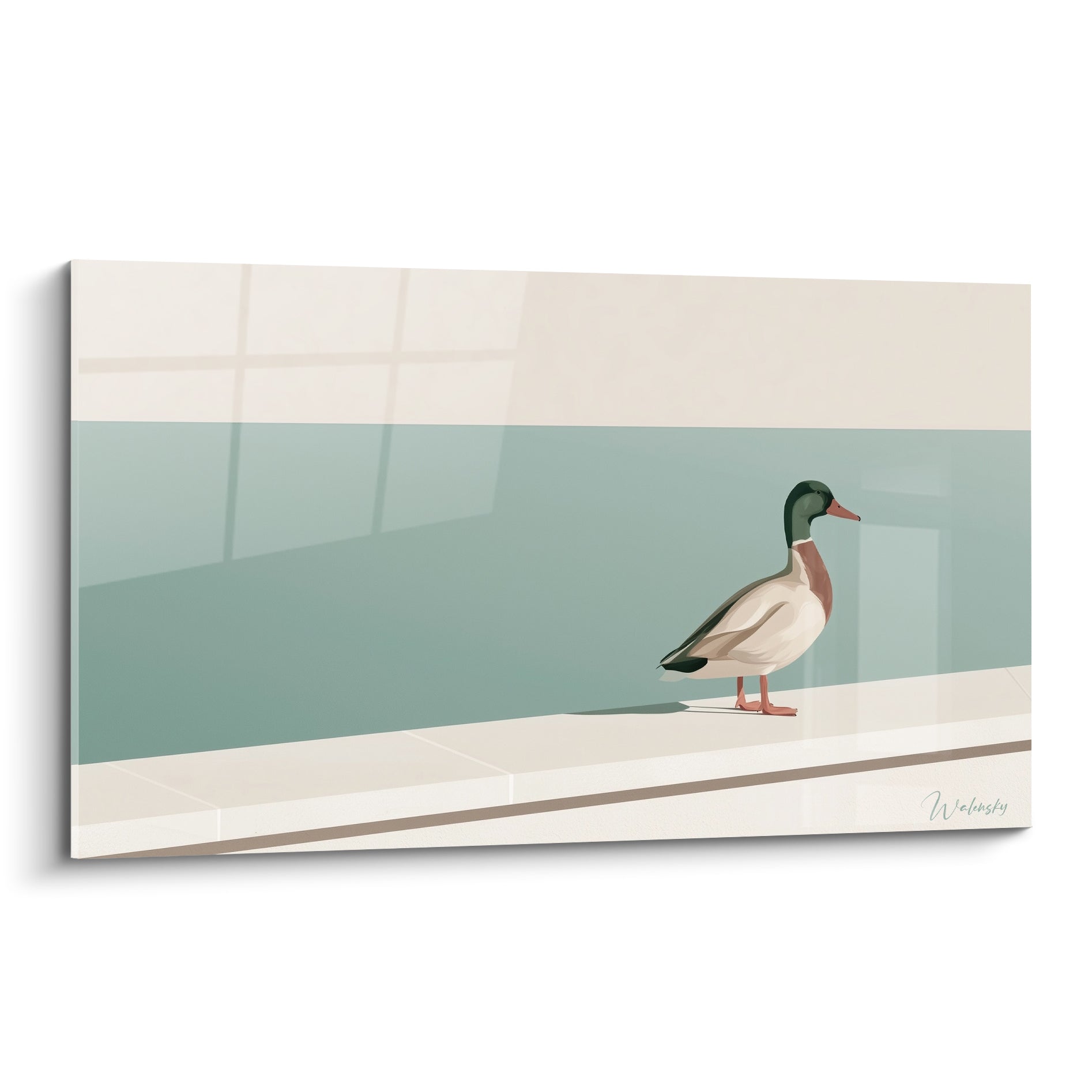 Canard colvert immobile, tête vert foncé et poitrine terracotta, mur vert sauge en fond