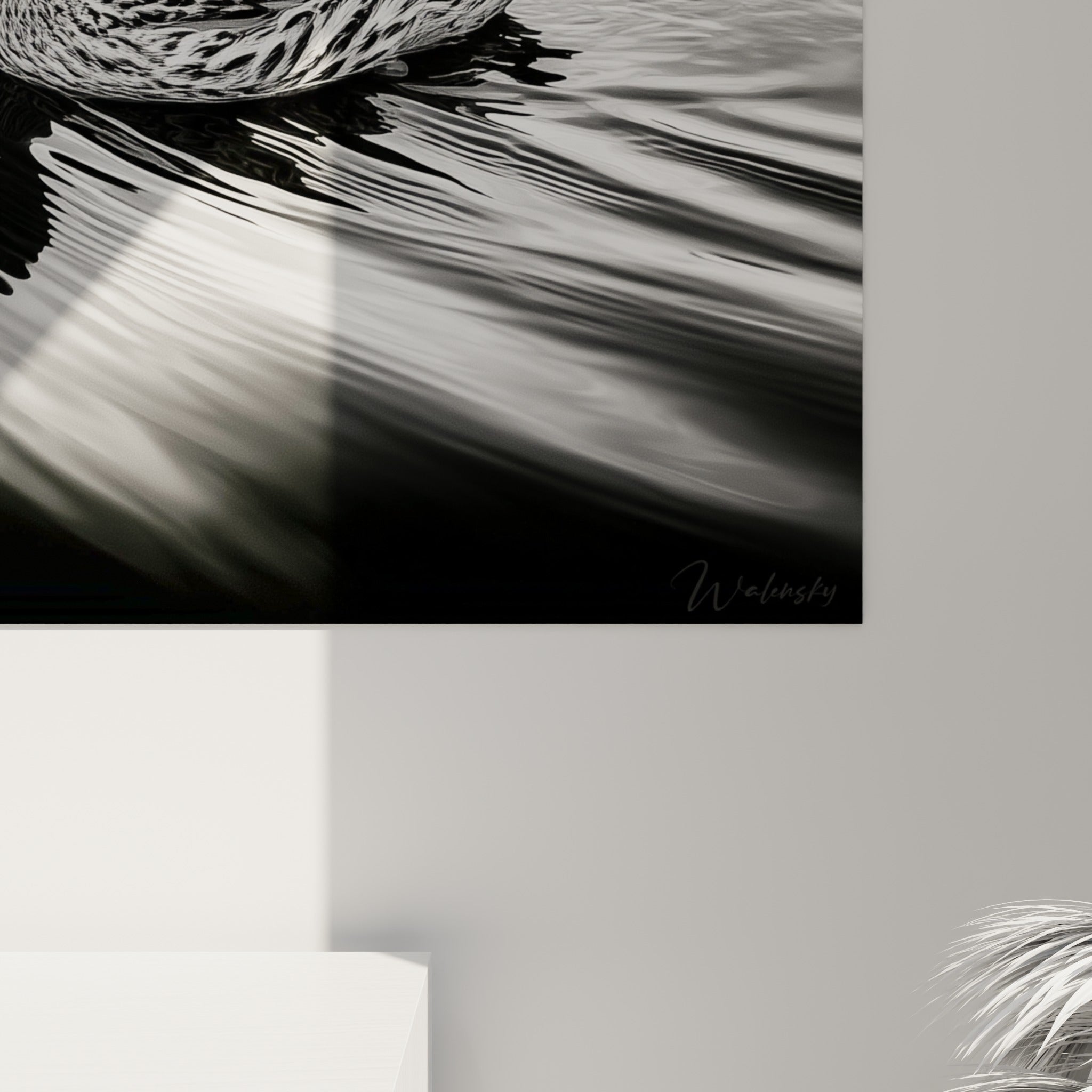 Grain photographique du plumage du canard, détails gris et noirs sur la matière de l'impression.
