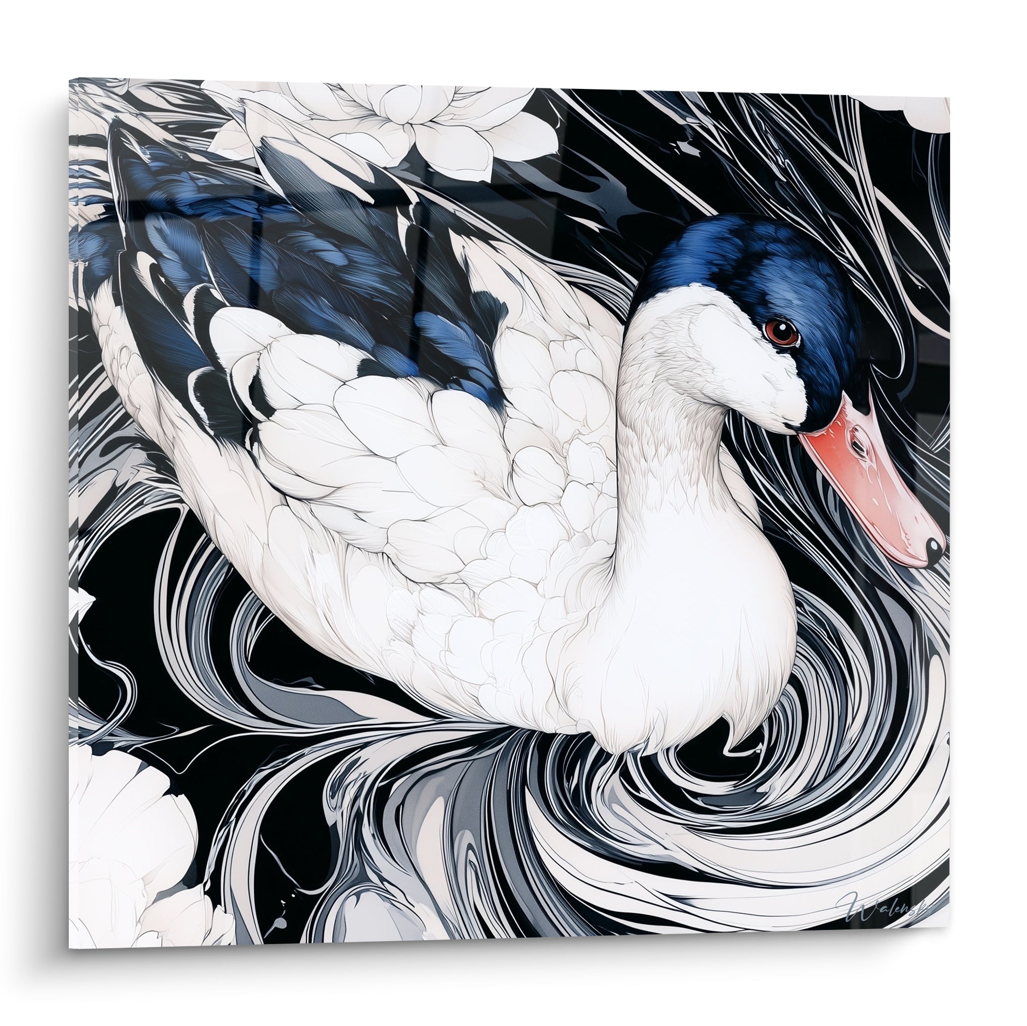 Canard tête bleu marine et bec corail nageant dans des tourbillons anthracite et blanc