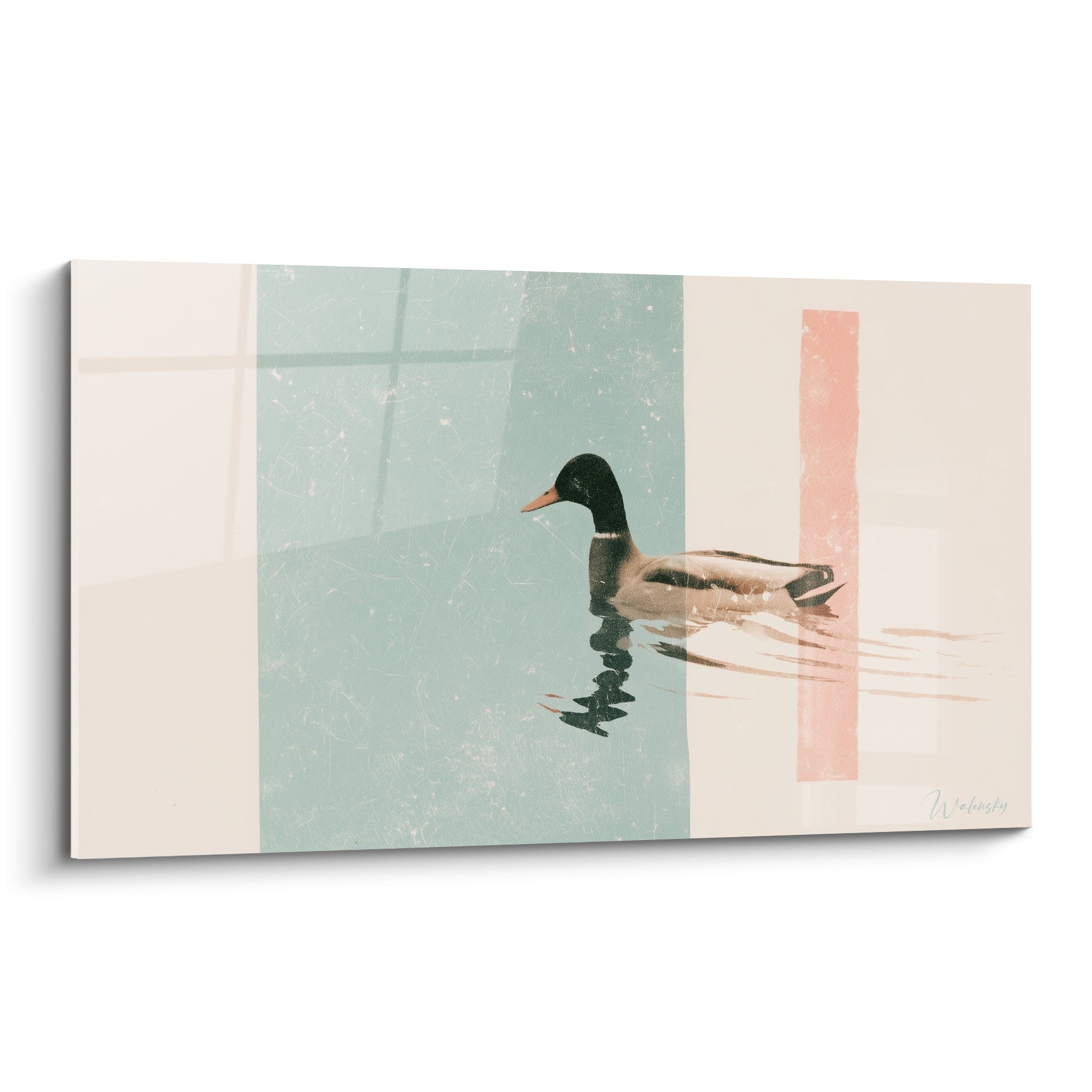 Canard brun et noir nageant sur fond vert d'eau, crème et bande corail verticale