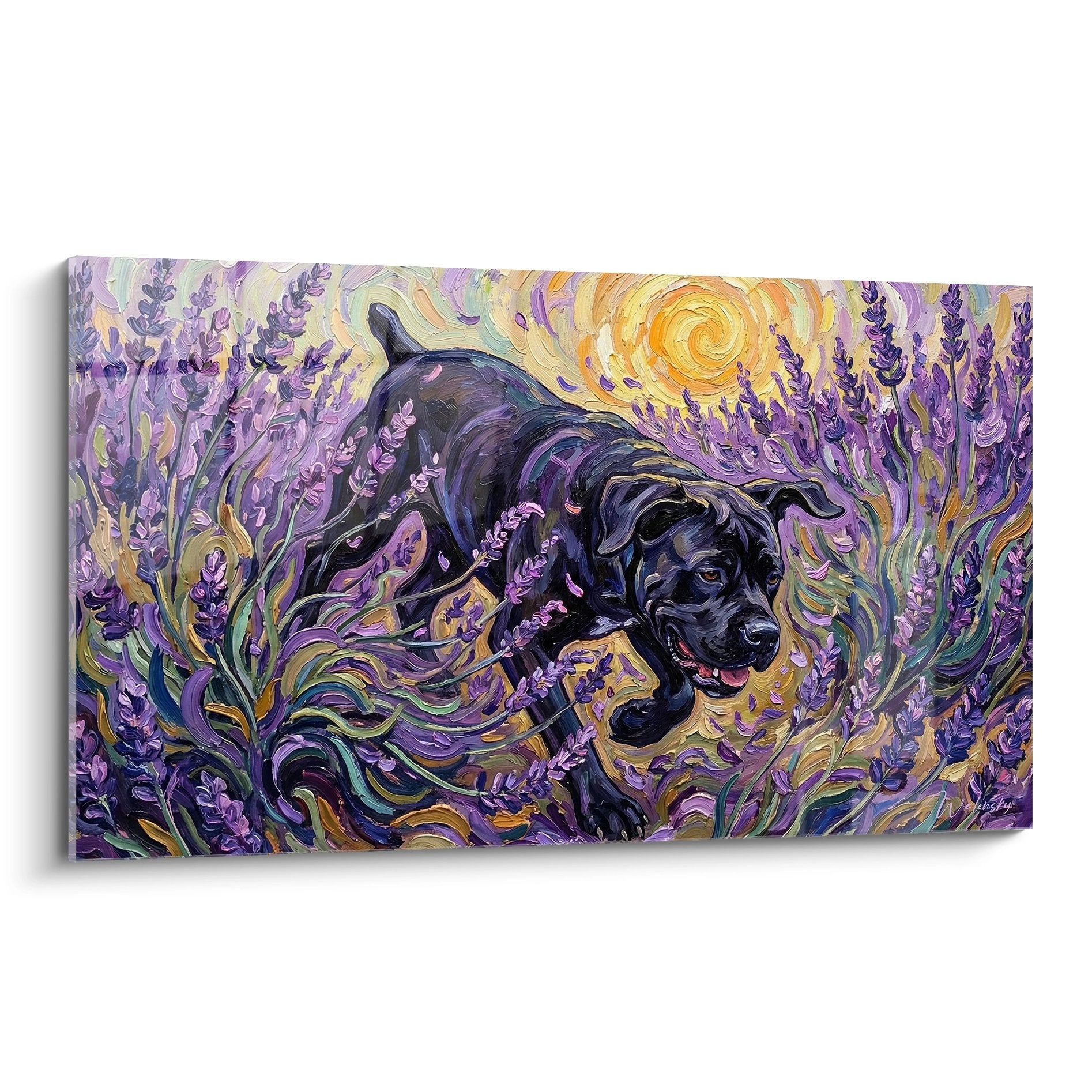 Tableau artistique Cane Corso noir allongé dans champ lavande pourpre style tourbillonnant expressionniste