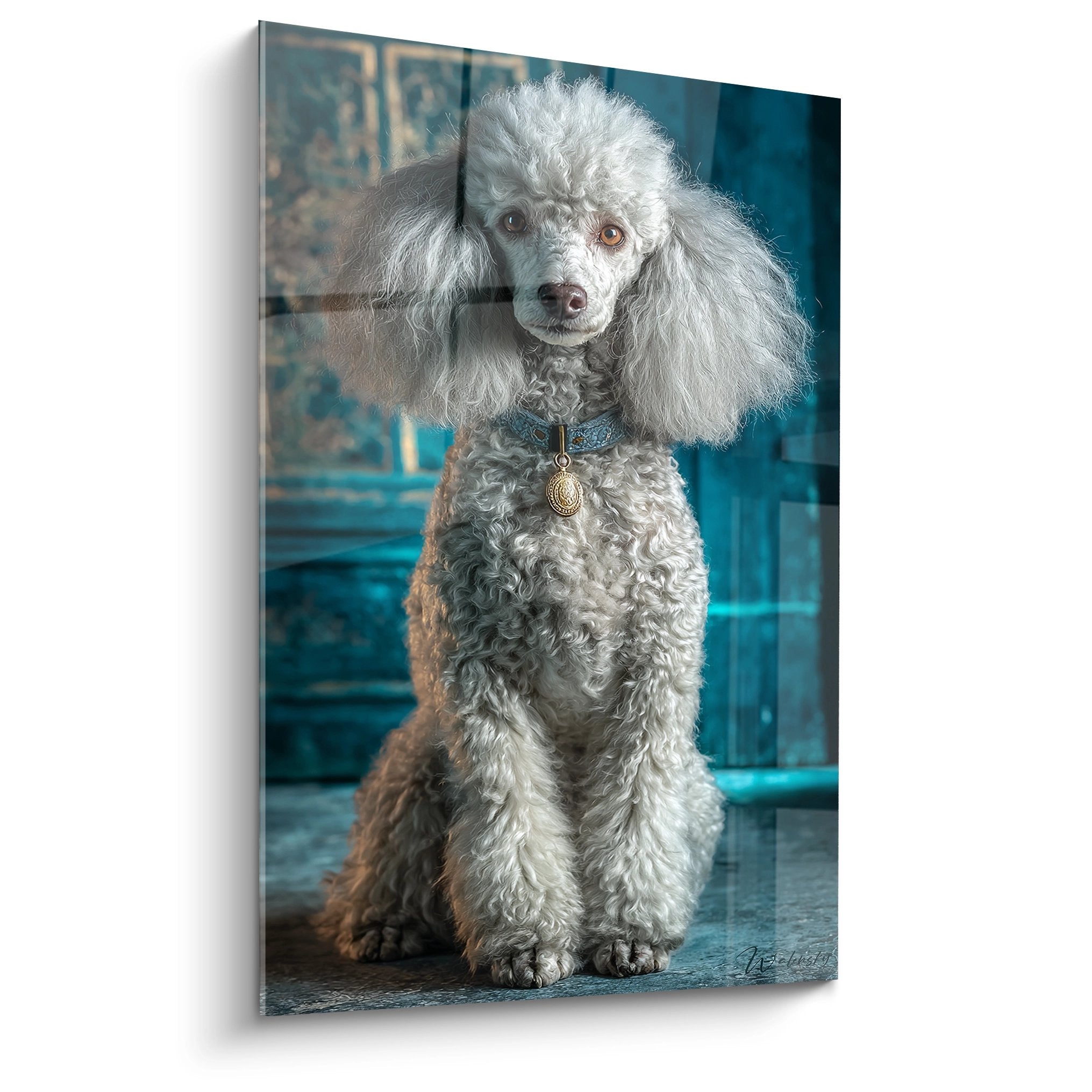 Portrait elegant caniche gris pelage boucle medallion dore fond bleu decoration murale chic