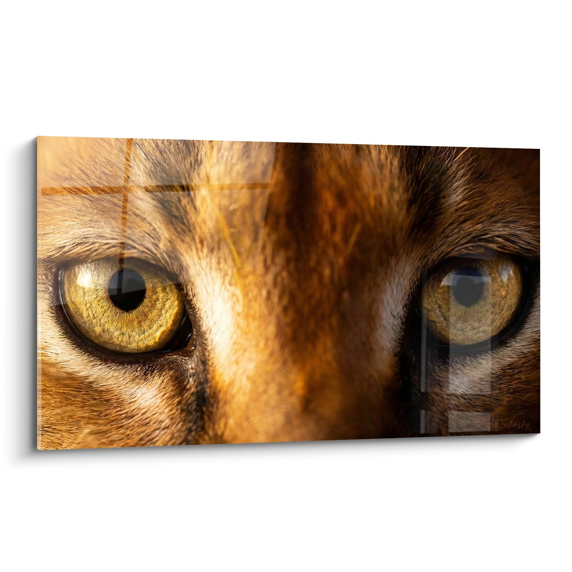 Caracal-Gemälde mit goldenen Augen, Nahaufnahme, fahles Fell, hypnotischer Blick, Wanddekoration