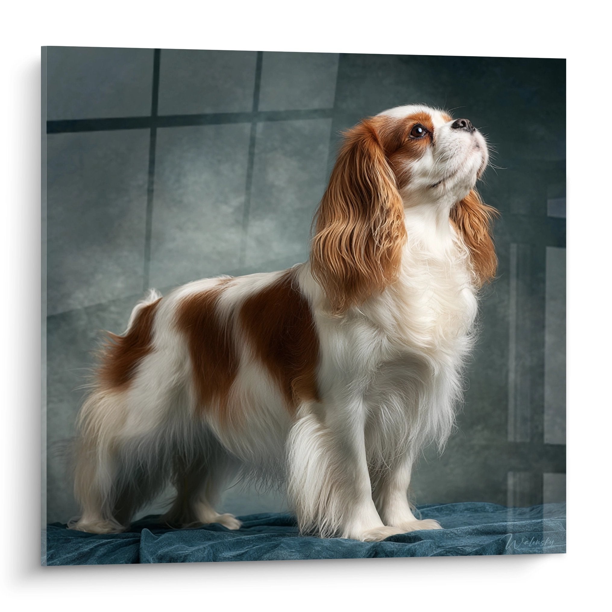 tableau cavalier king charles roux et blanc regard leve pose elegante fond geometrique