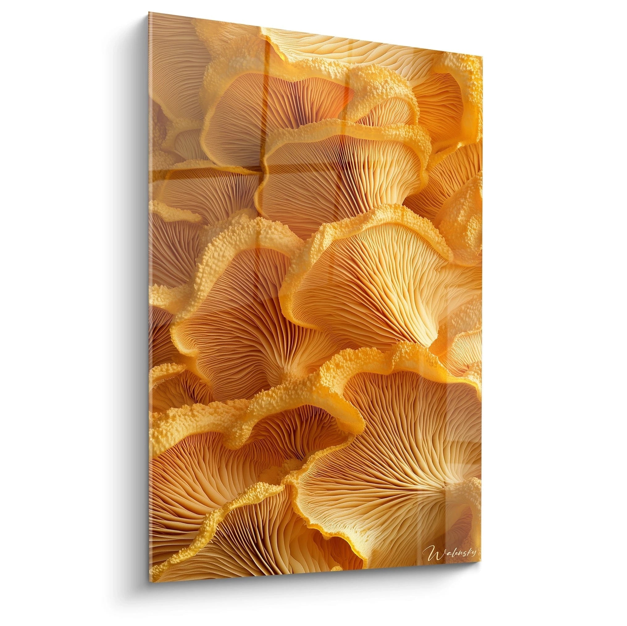 Un tableau champignon nature montrant une composition de champignons dorés, avec des teintes orange et beige, aux textures détaillées et aux formes ondulantes rappelant des lamelles naturelles.