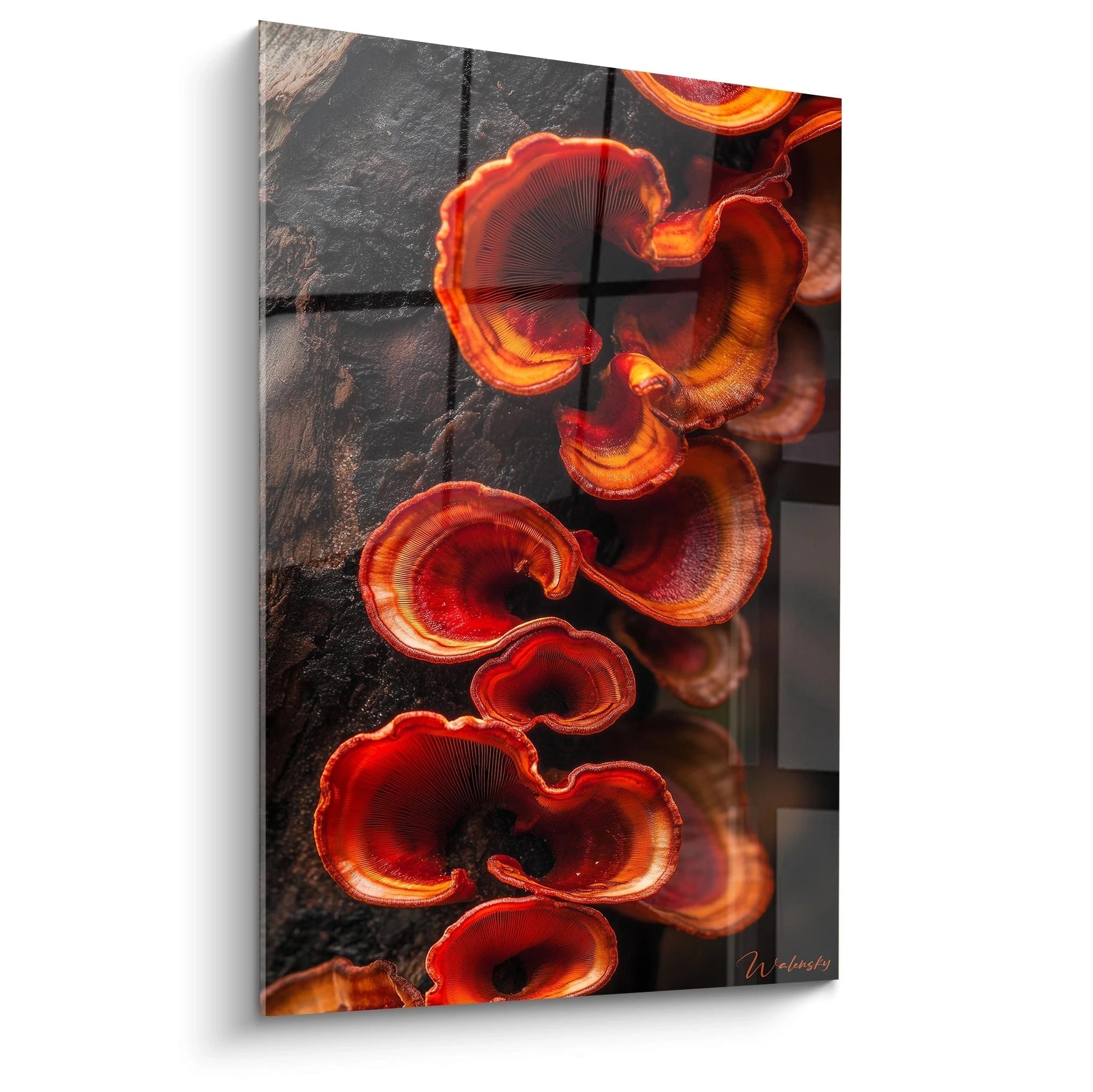 Un tableau champignon nature représentant des champignons rouges et orange poussant sur un tronc sombre, avec une texture rugueuse du bois contrastant avec les lamelles fines et lisses des champignons.