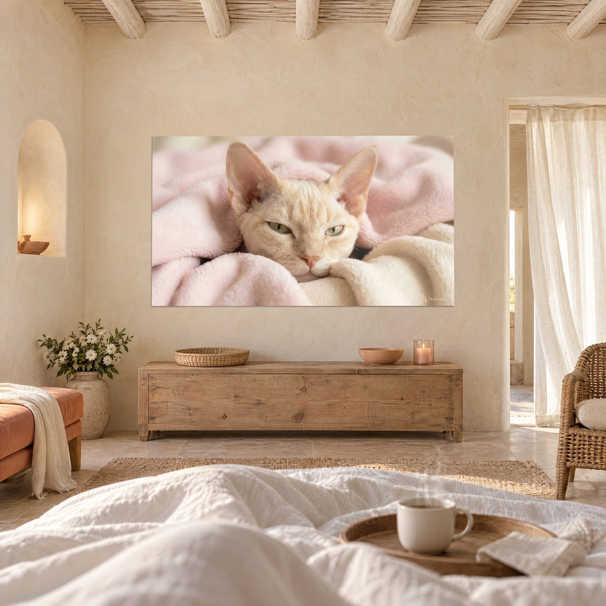 Obraz Devon rex o dużych uszach, kremowe futro, przymknięte zielone spojrzenie w różowej wełnie, nad łóżkiem w jasnej sypialni