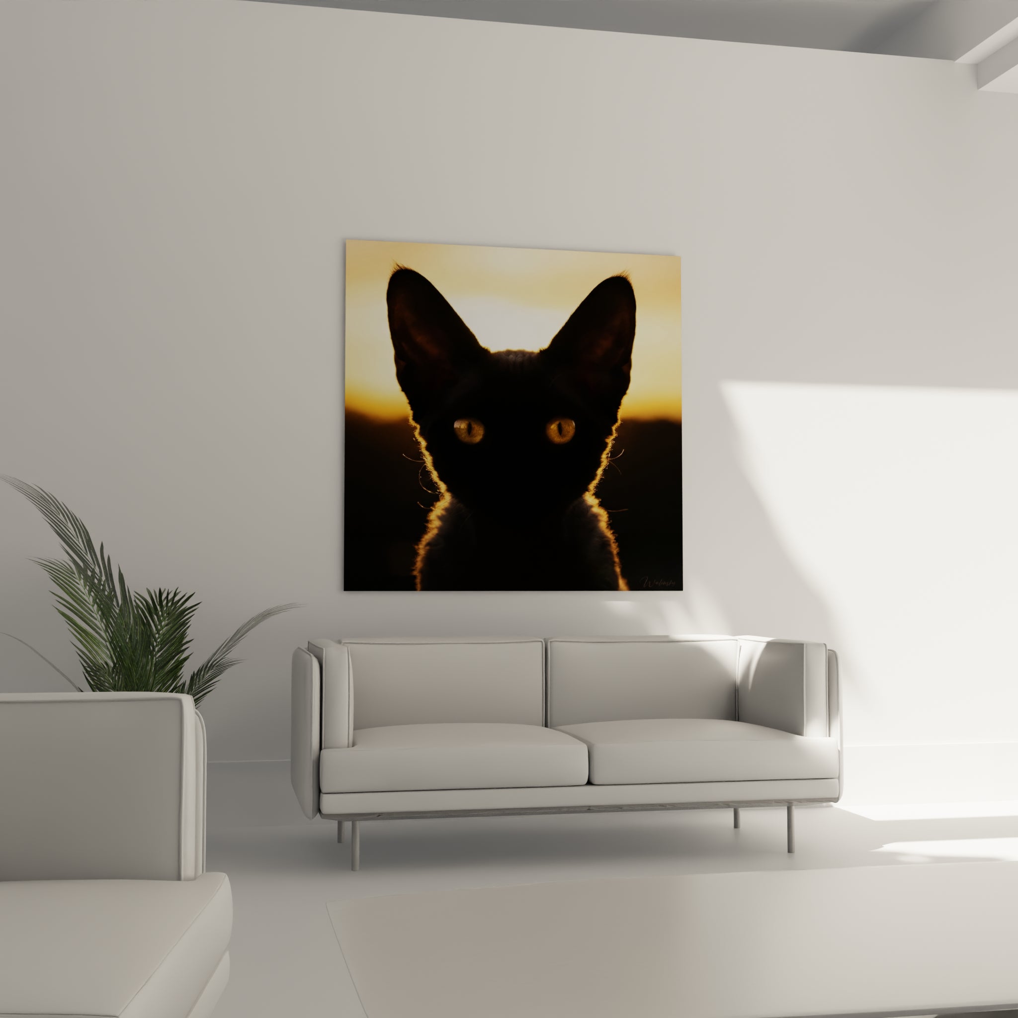 Regard intense d'un Chat Devon rex noir et doré au-dessus d'un canapé dans un salon lumineux