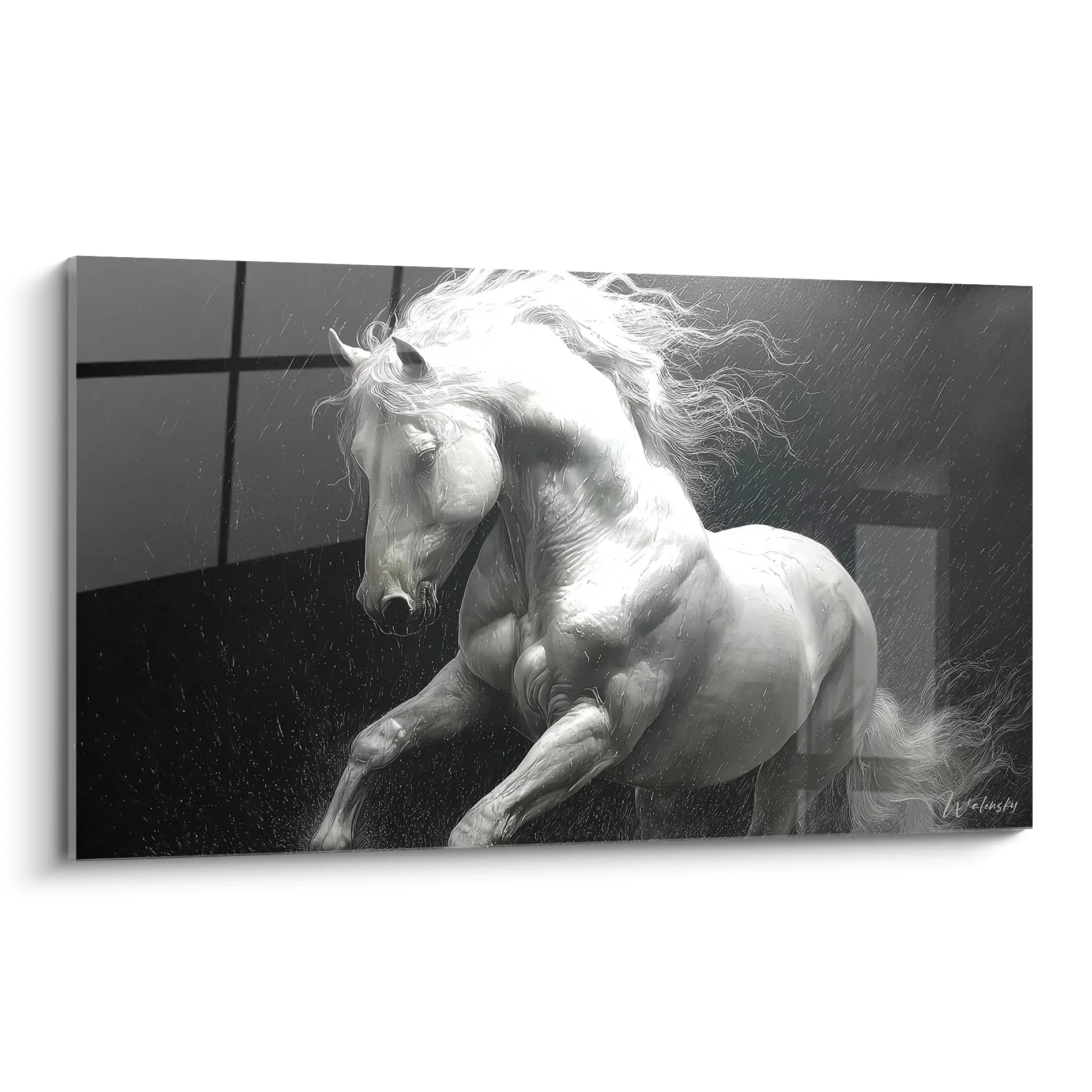 Tableau cheval blanc cabré sous la pluie en noir et blanc art mural équestre