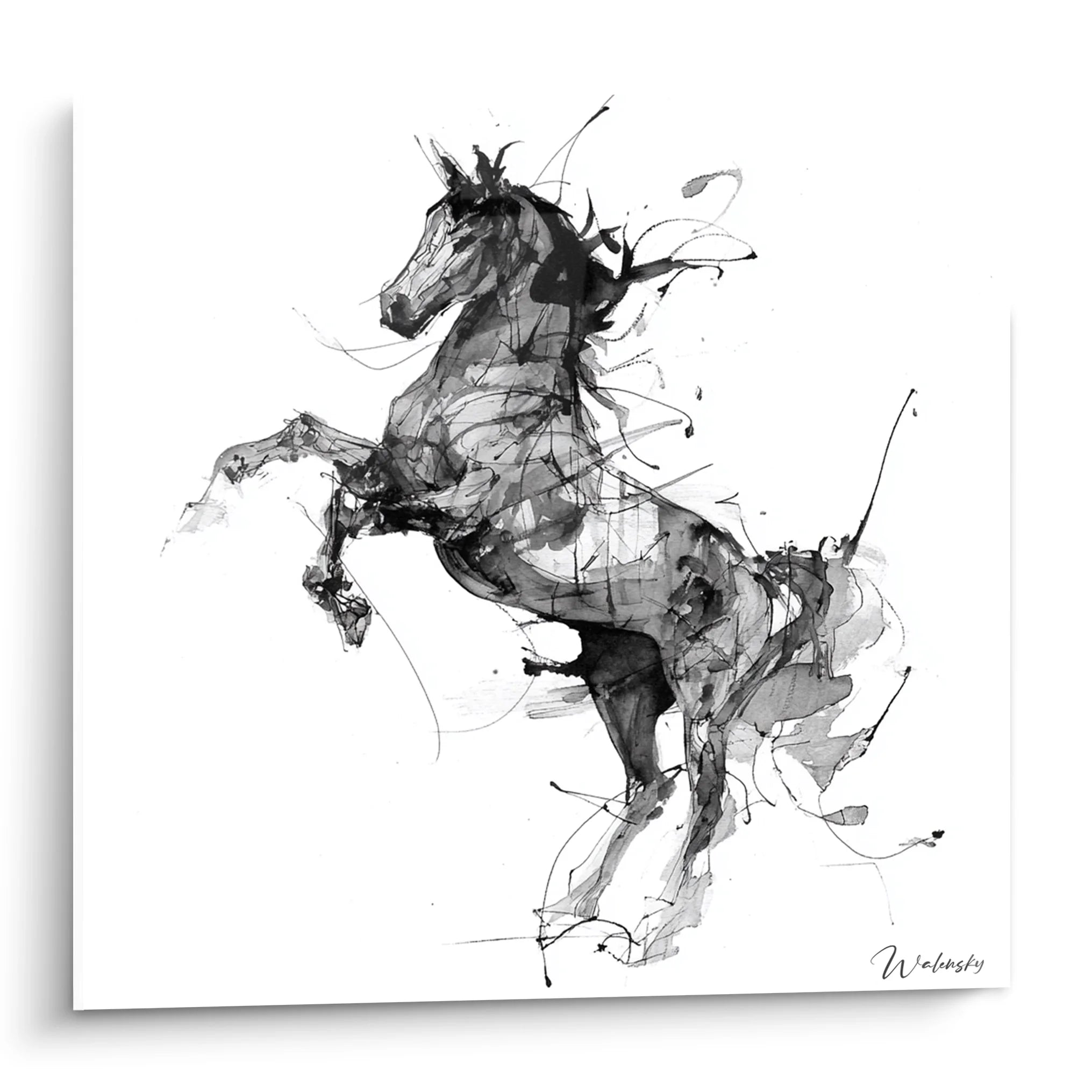 Tableau cheval cabré noir et blanc, art équestre expressif pour décoration murale moderne