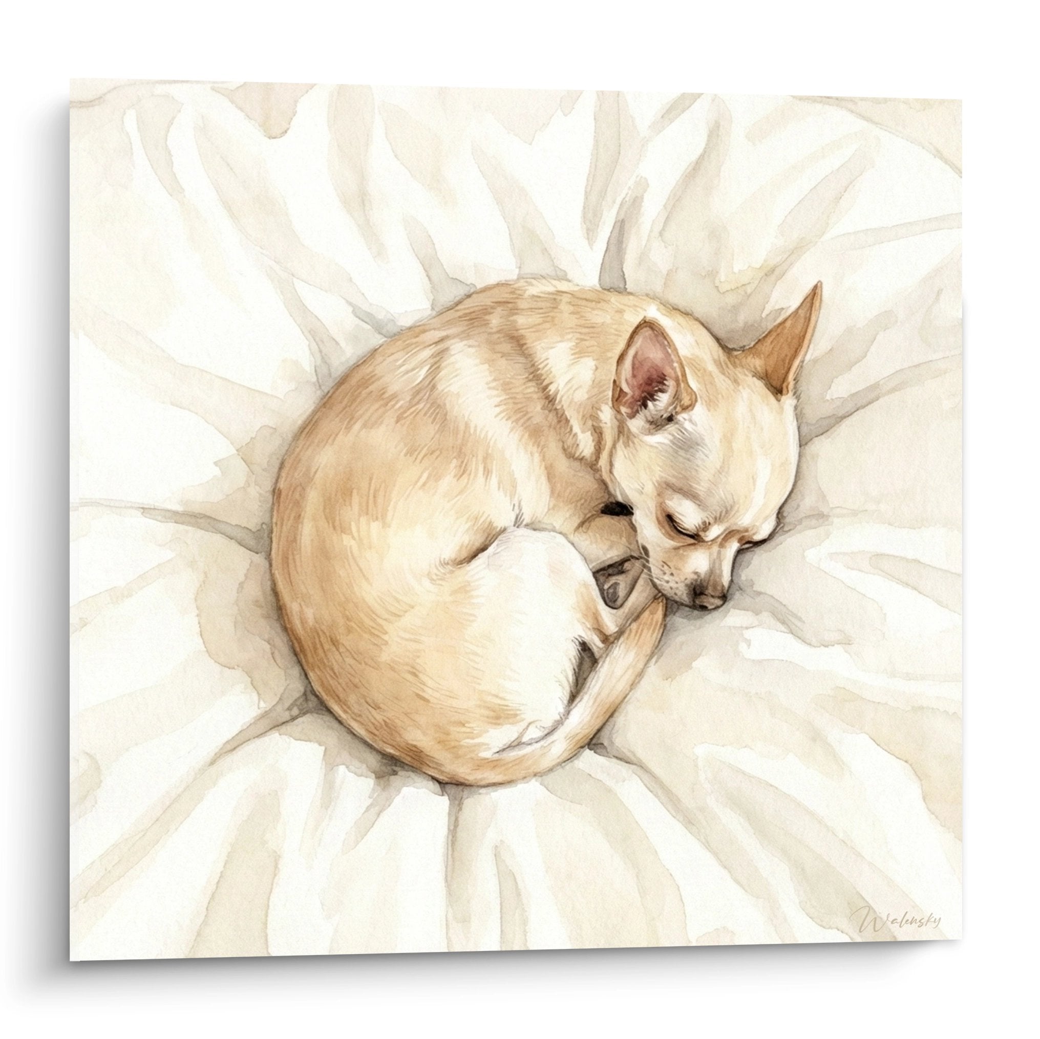 Tableau chihuahua beige endormi au centre d'une grande fleur blanche aux petales ouverts