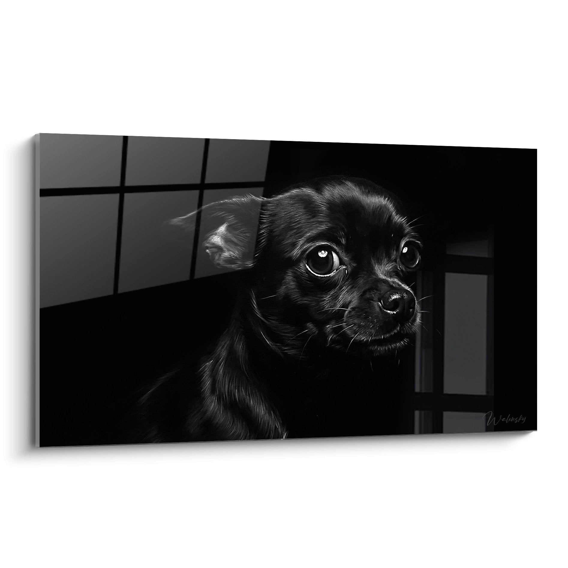 portrait chihuahua noir yeux expressifs tableau mural decoration animaux domestiques