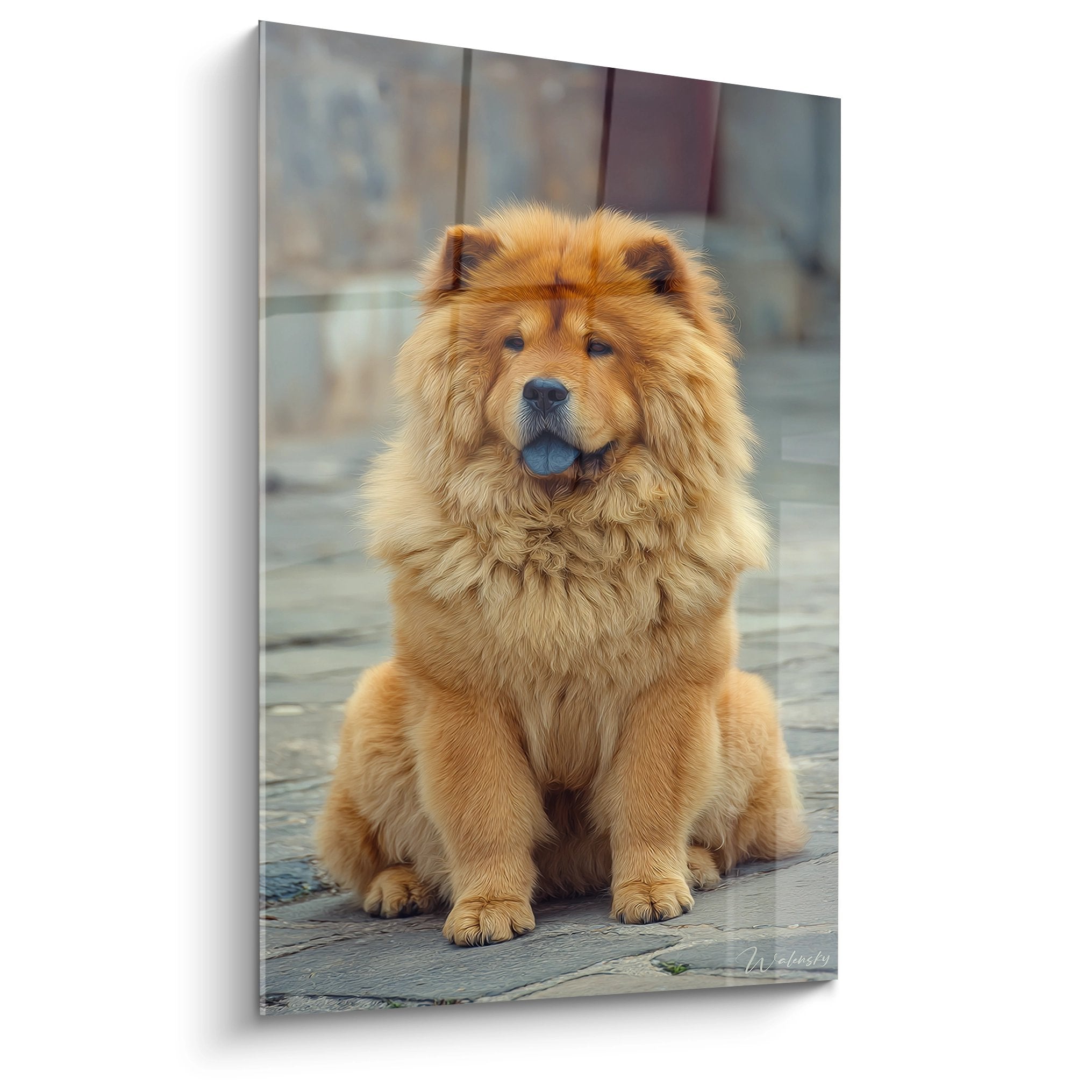 Tableau chow chow roux assis sur pavés portrait canin attendrissant pelage doré