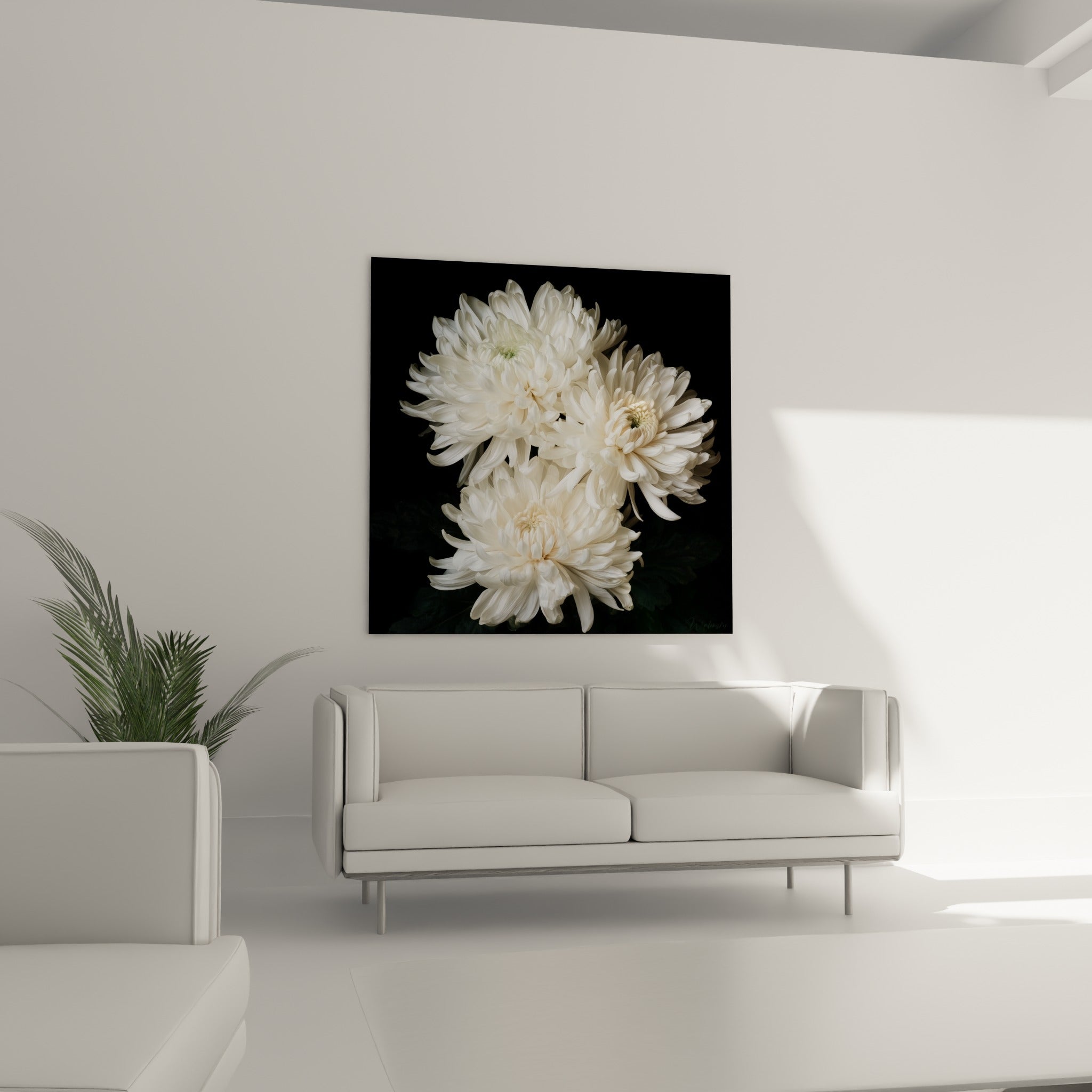 Bouquet de chrysanthèmes blancs sur fond anthracite, au-dessus d'un canapé dans un salon lumineux