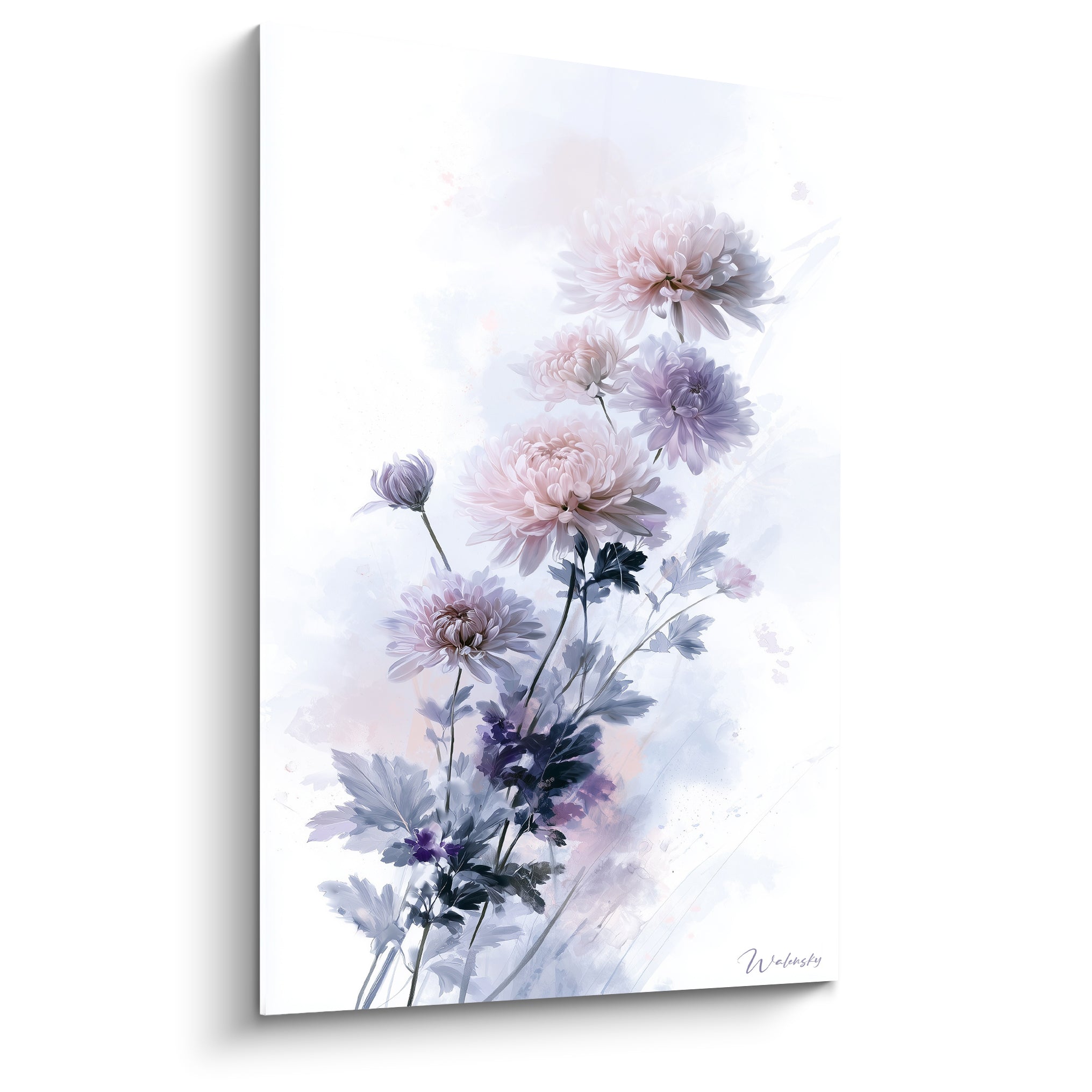 Chrysanthèmes roses et mauves en aquarelle, pétales délicats sur fond blanc immaculé