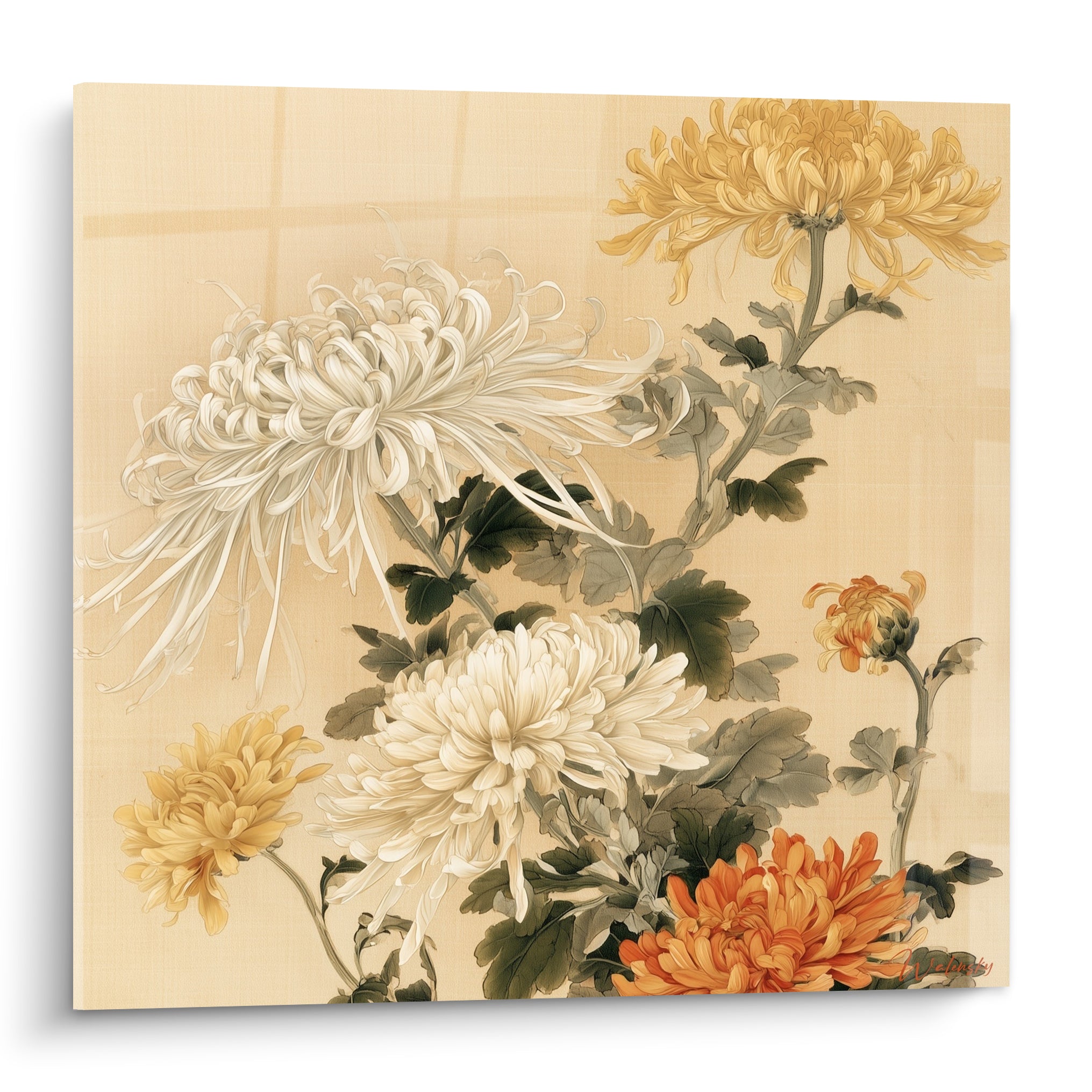 Chrysanthèmes blancs et dorés aux pétales effilés sur fond ivoire, style aquarelle délicate