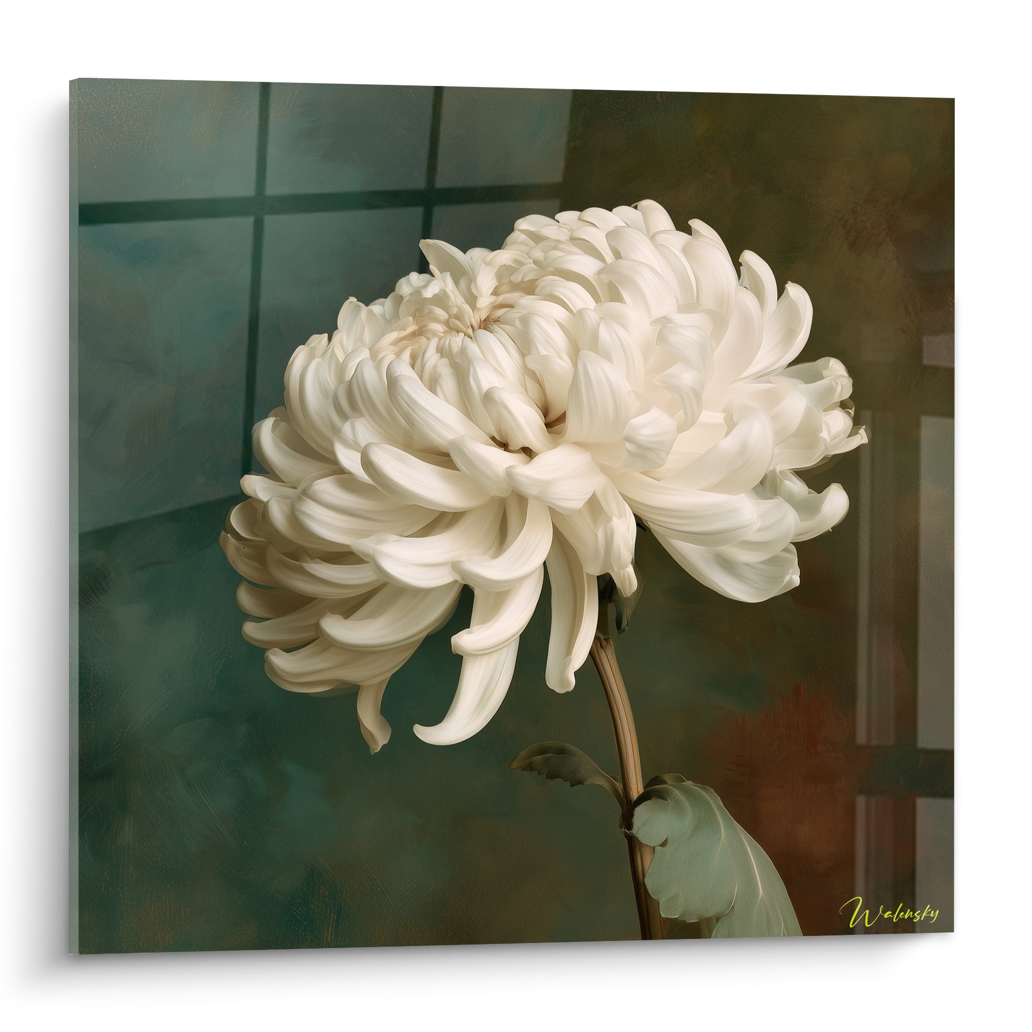 Chrysanthème blanc aux pétales incurvés sur fond vert sauge et touches terracotta