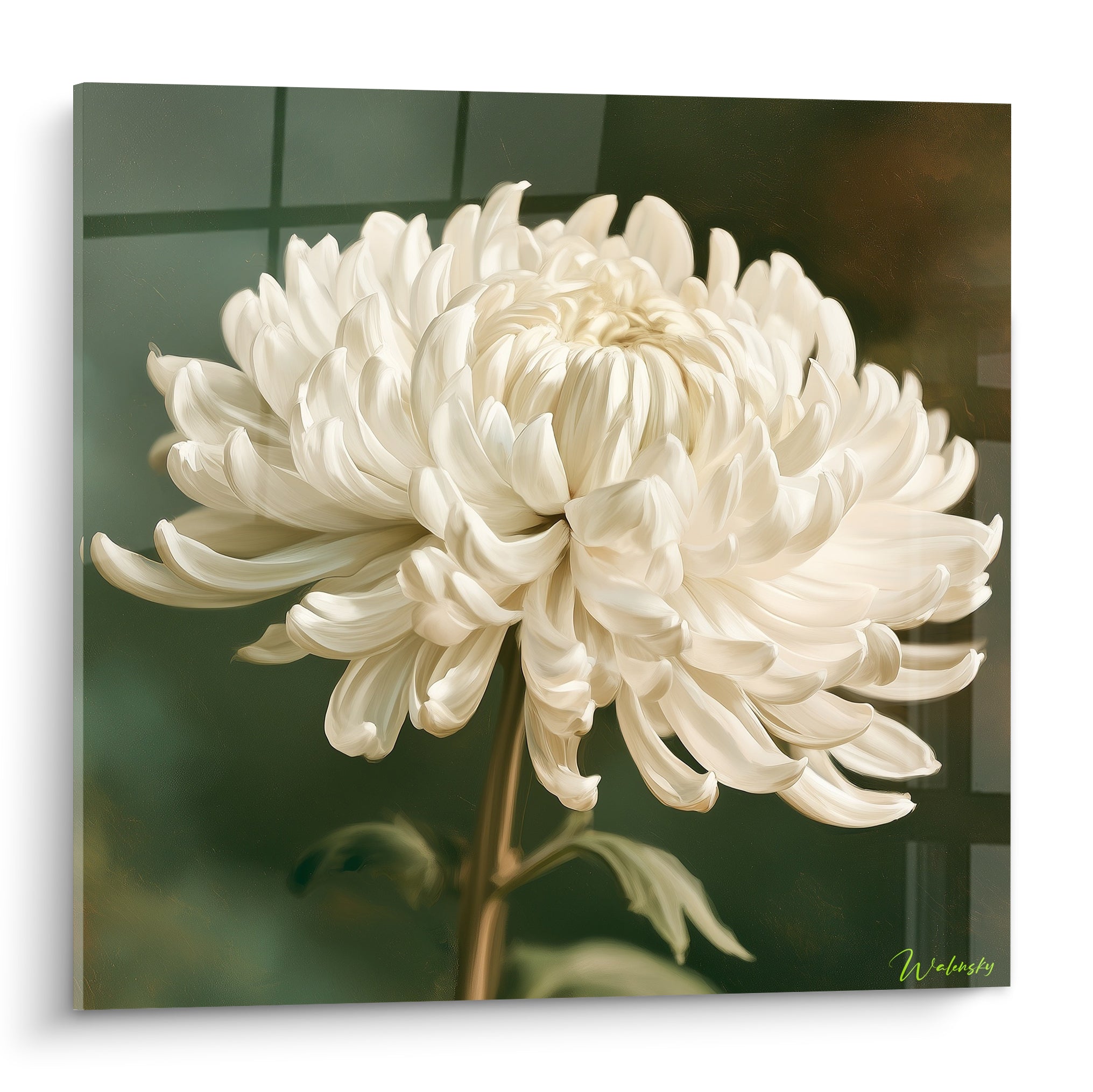Chrysanthème blanc ivoire aux pétales incurvés sur fond vert profond et doré