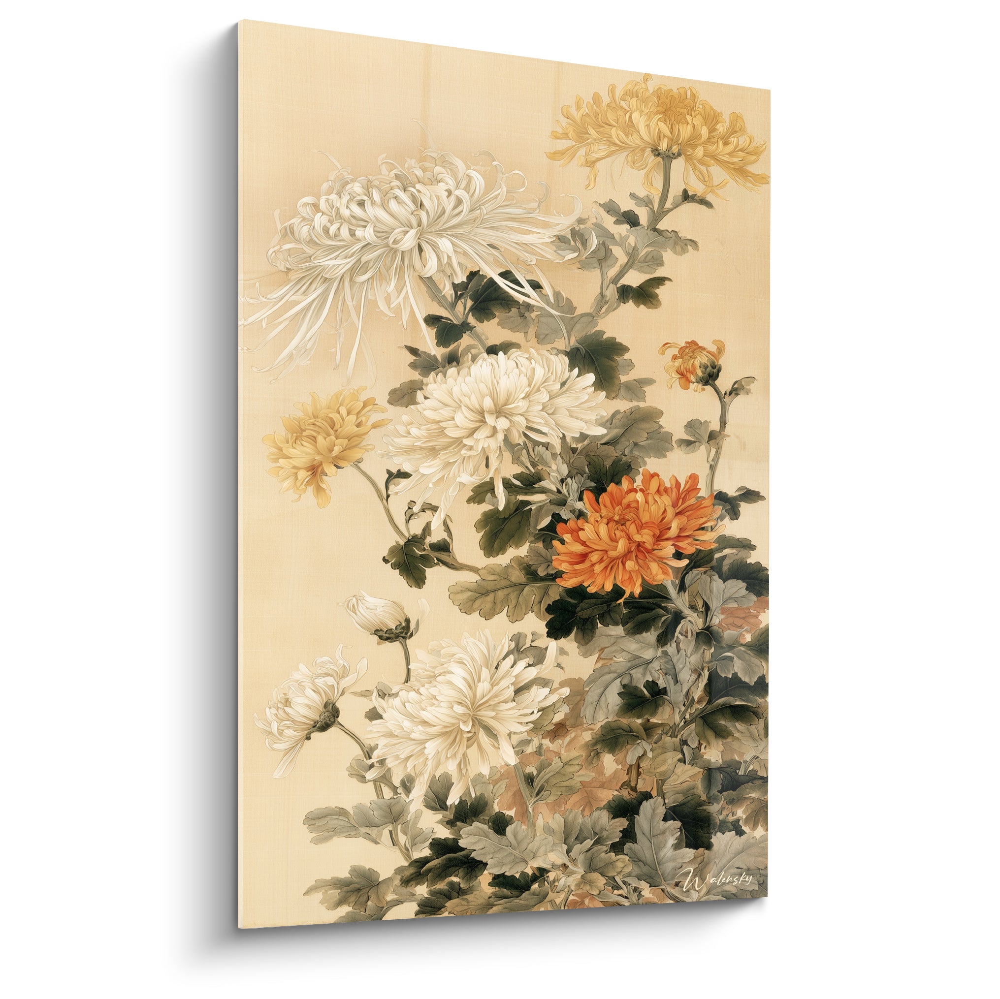 Chrysanthèmes blancs et orangés aux pétales effilés sur fond ivoire, style botanique japonais