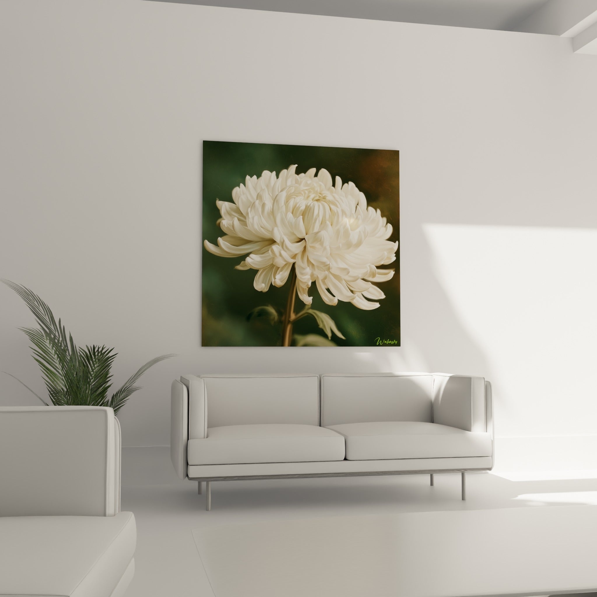 Pétales blanc ivoire et cœur doré du chrysanthème au-dessus d'un canapé dans un salon lumineux