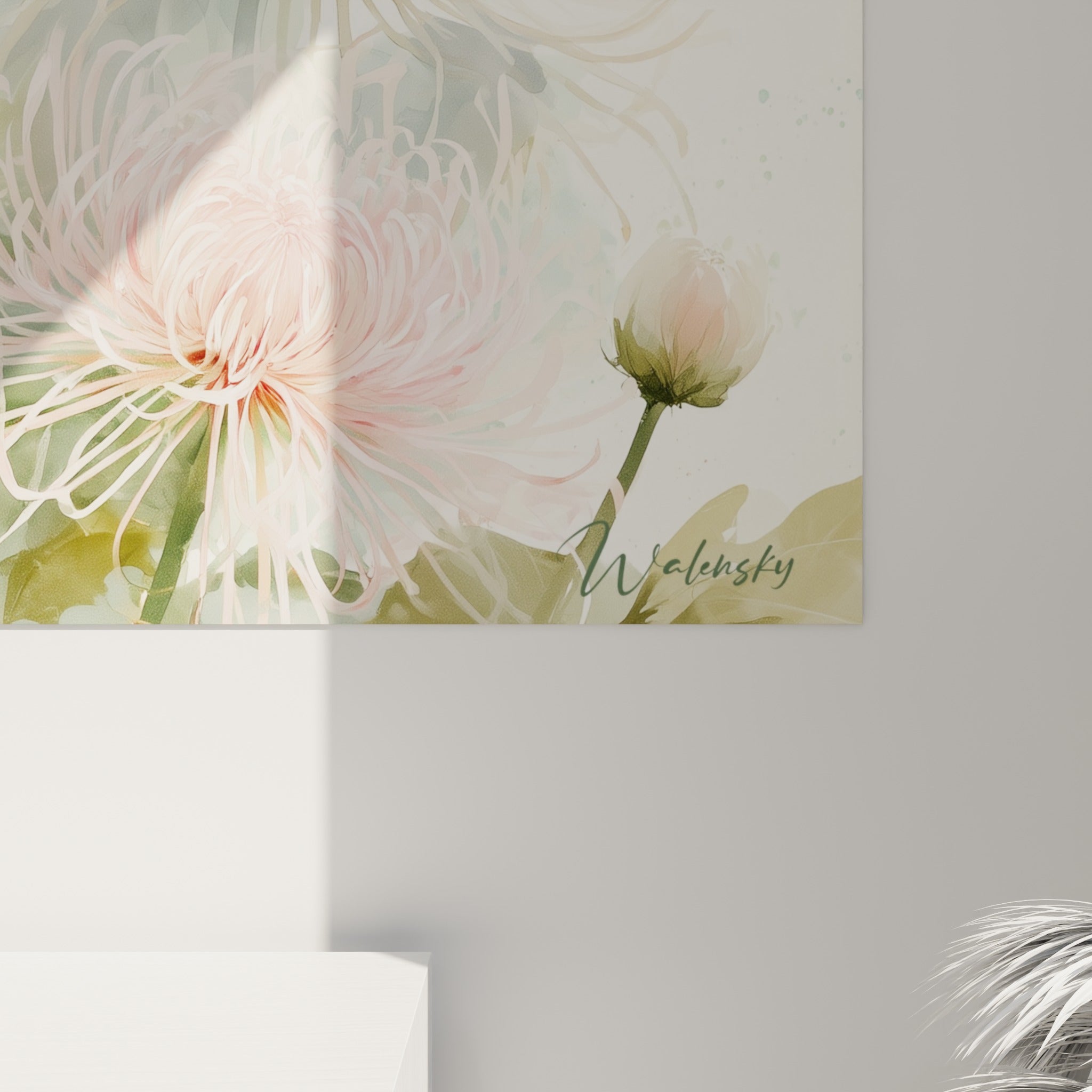 Pétales filiformes du chrysanthème rose et blanc laissant voir les coulures et transparences de l'aquarelle