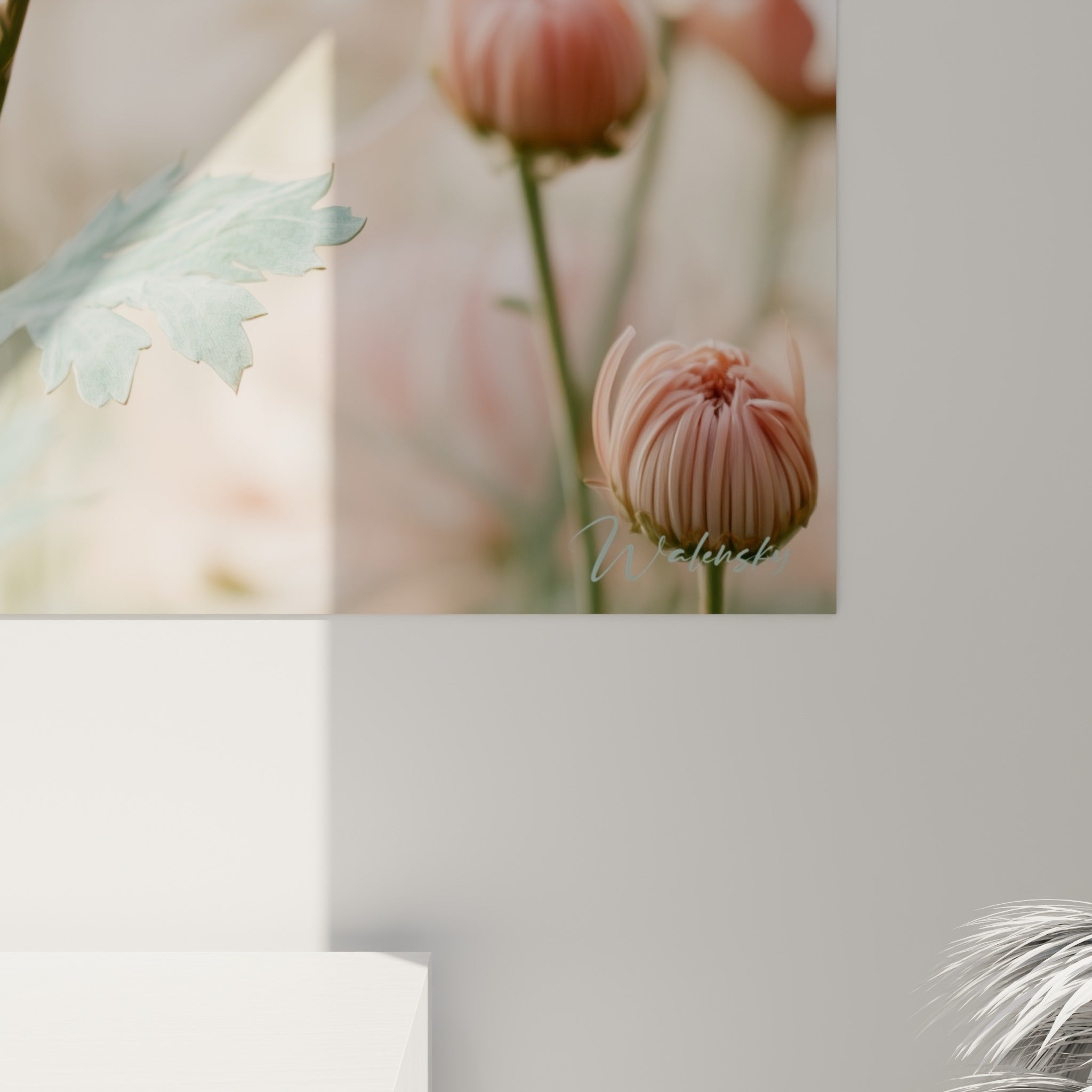 Détail des pétales roses et blancs du chrysanthème révélant la finesse des veines et le grain de l'impression
