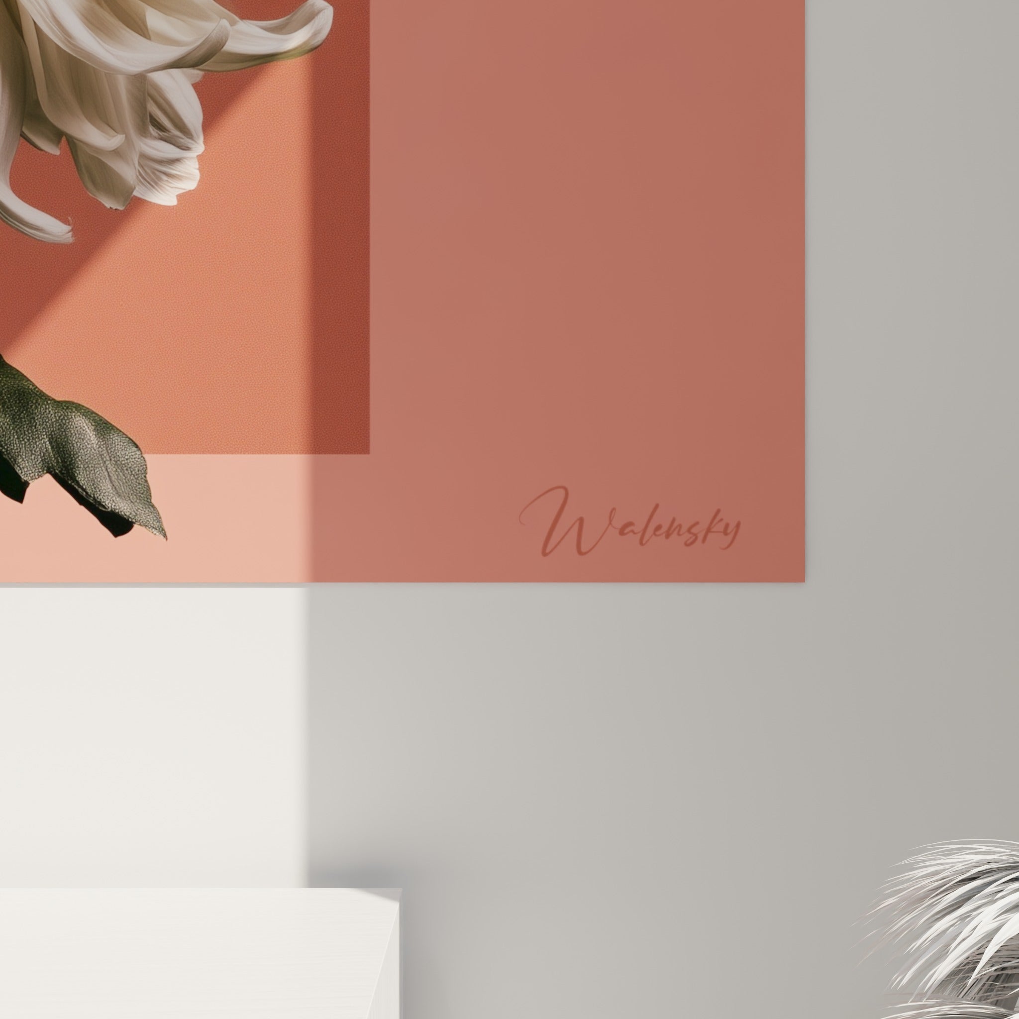 Détail des pétales blancs ondulés et de la tige noire, textures fines sur fond corail et crème juxtaposés